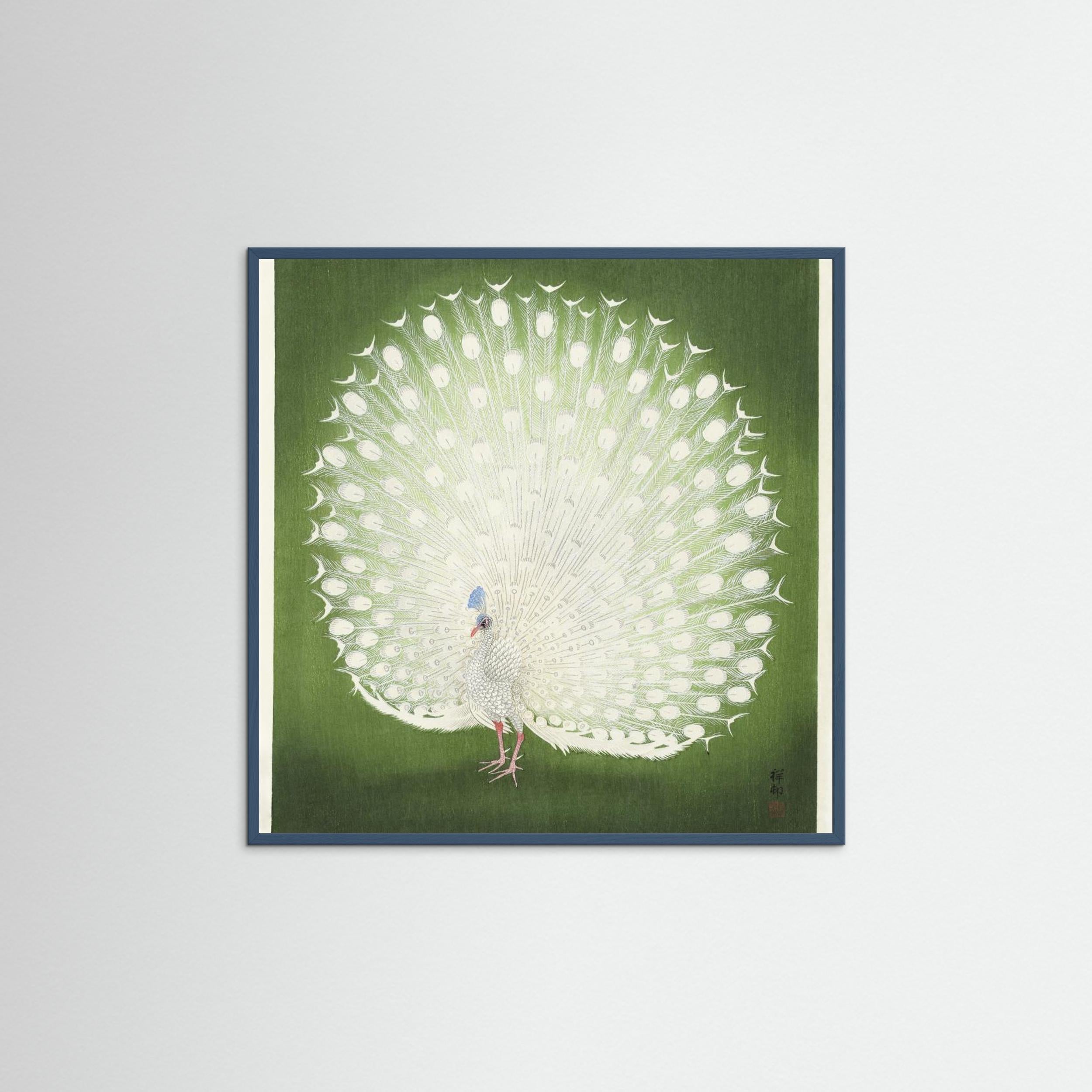 Peacock Fine Art Paper 