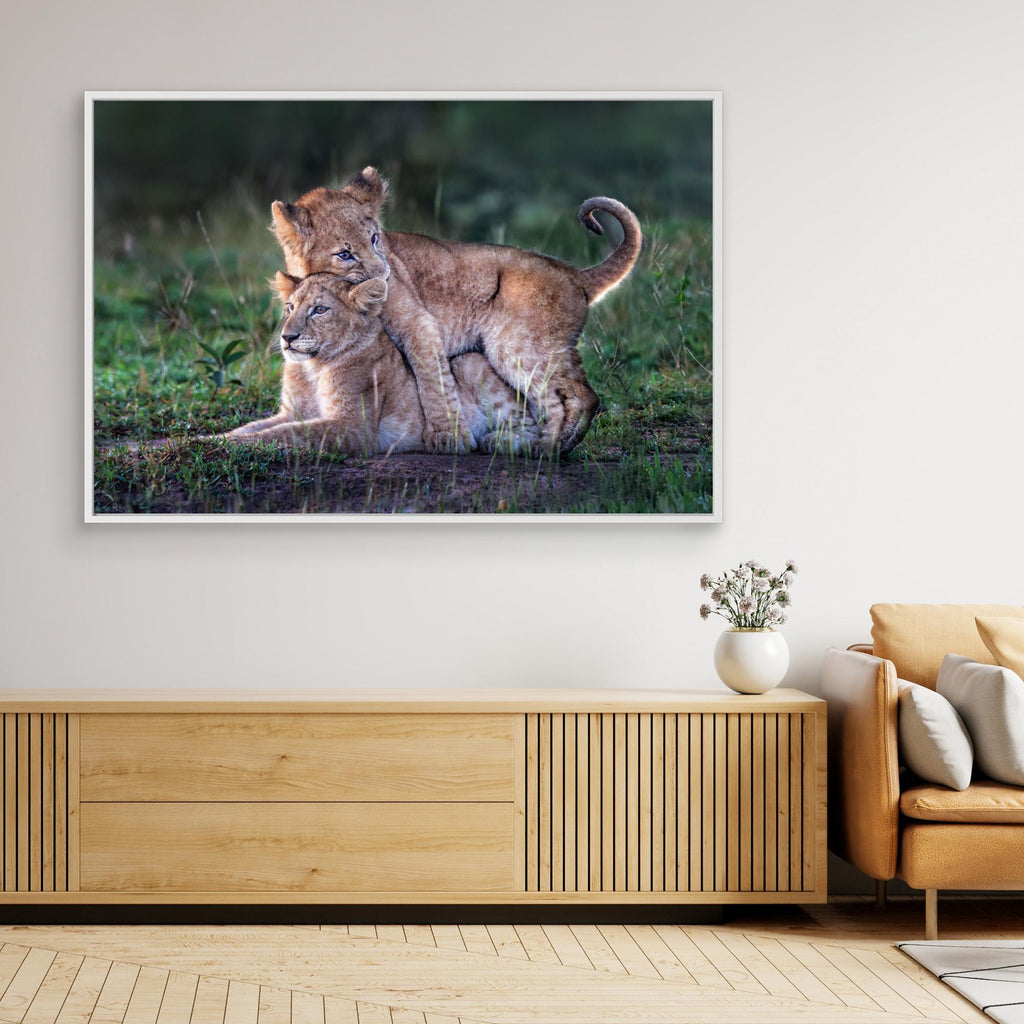 Playful lion cubs by Xavier Ortega Canvas