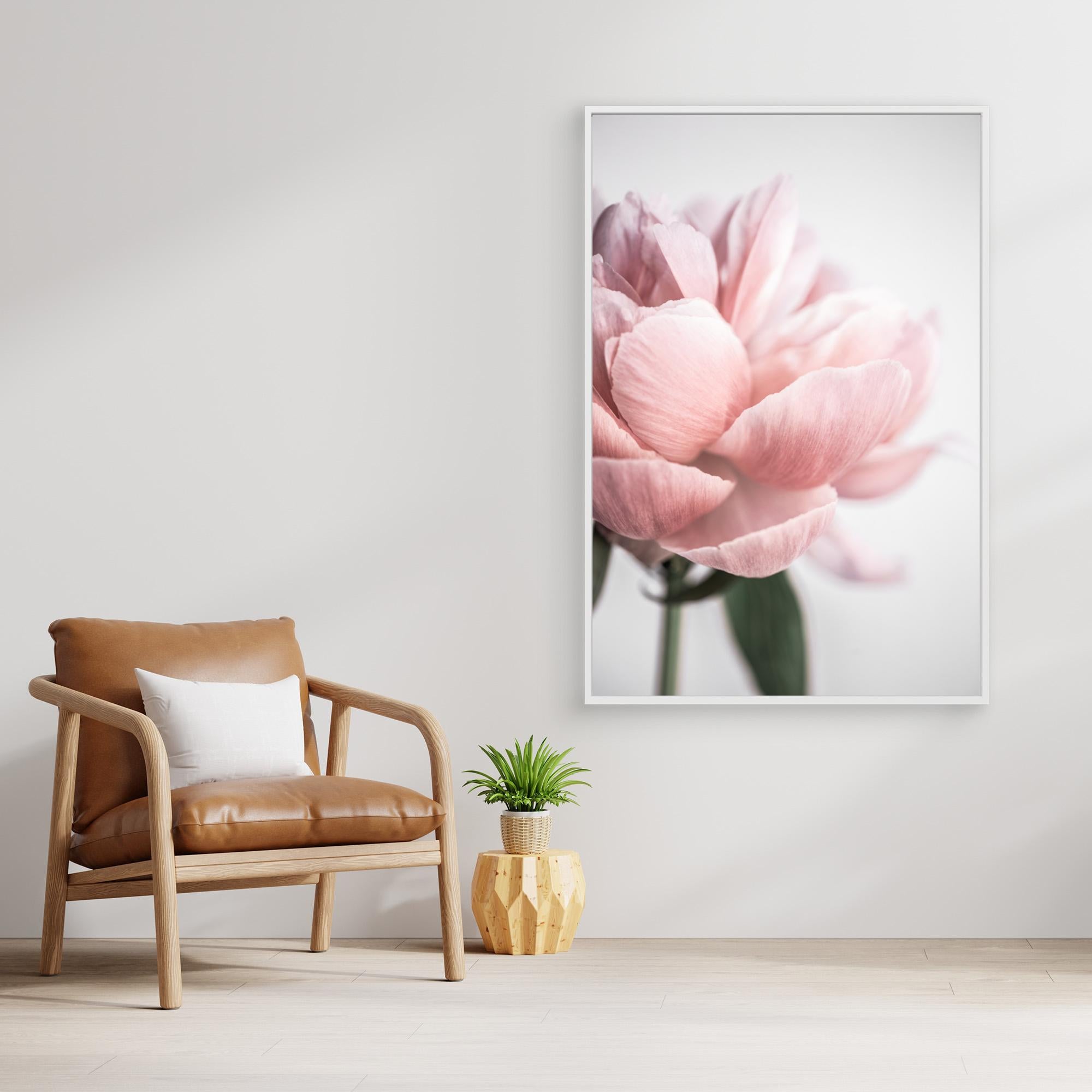 Peony 3 by Mareike Böhmer