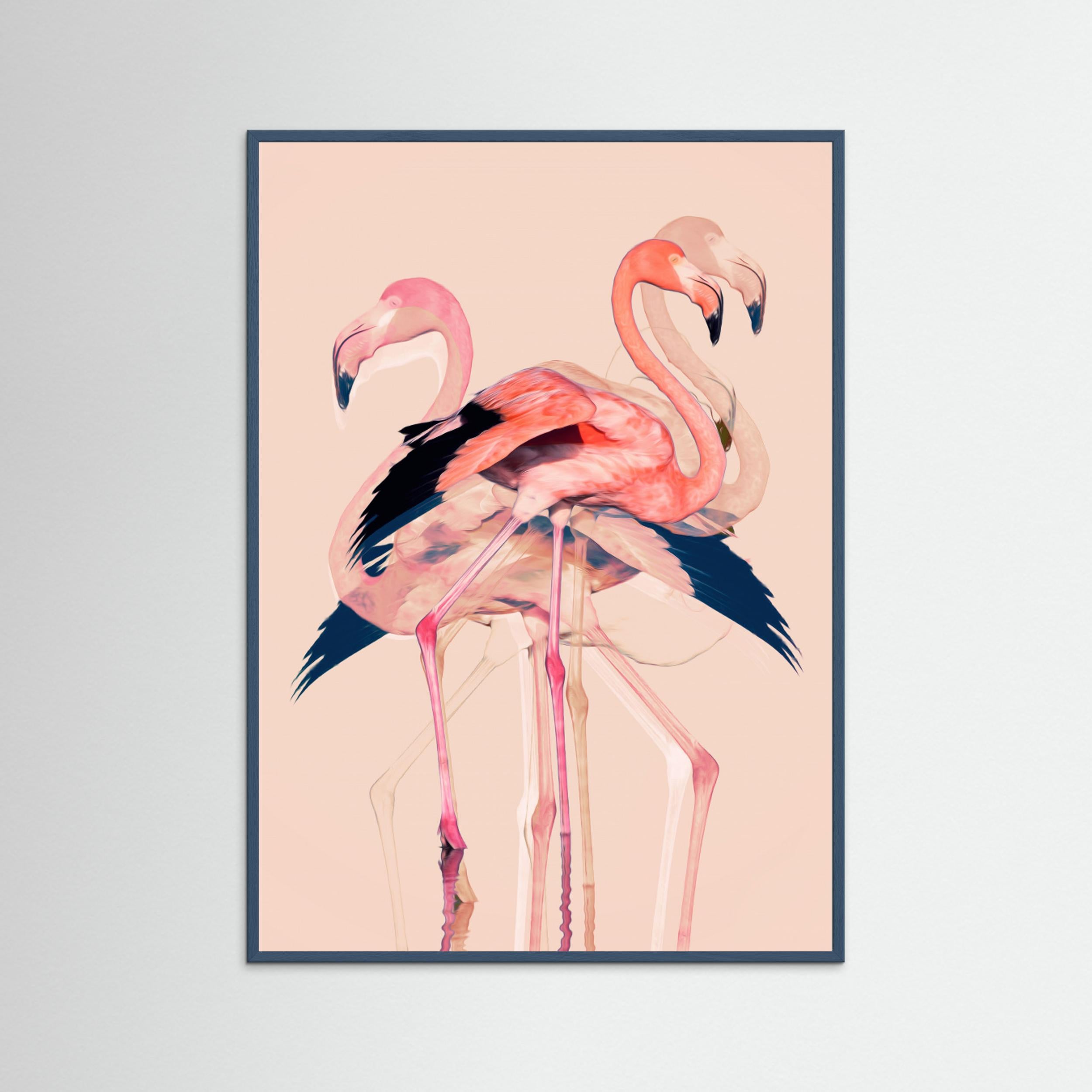 Flamingos nr. 3 by Baard Martinussen Fine Art Paper