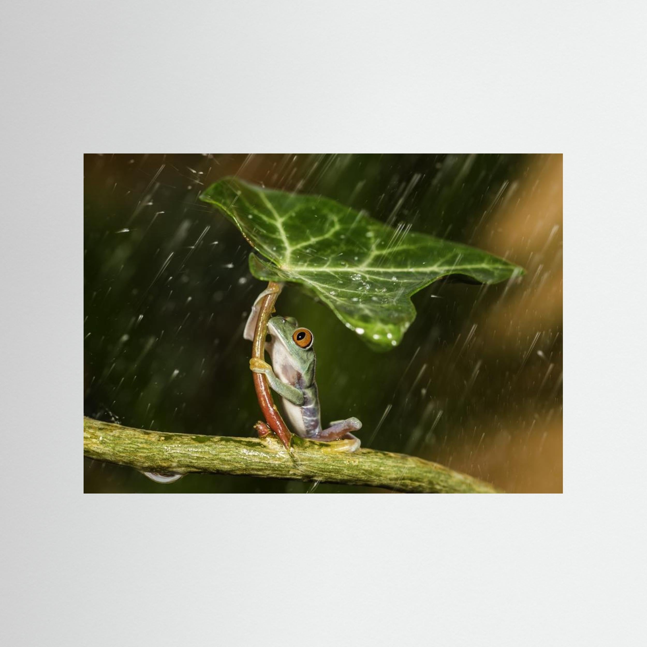 Ohh Noo :( It's Raining by Kutub Uddin Fine Art Paper