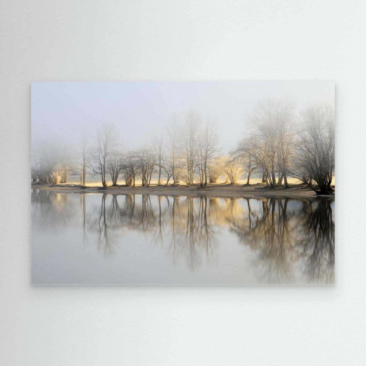 january morning by Bor Canvas