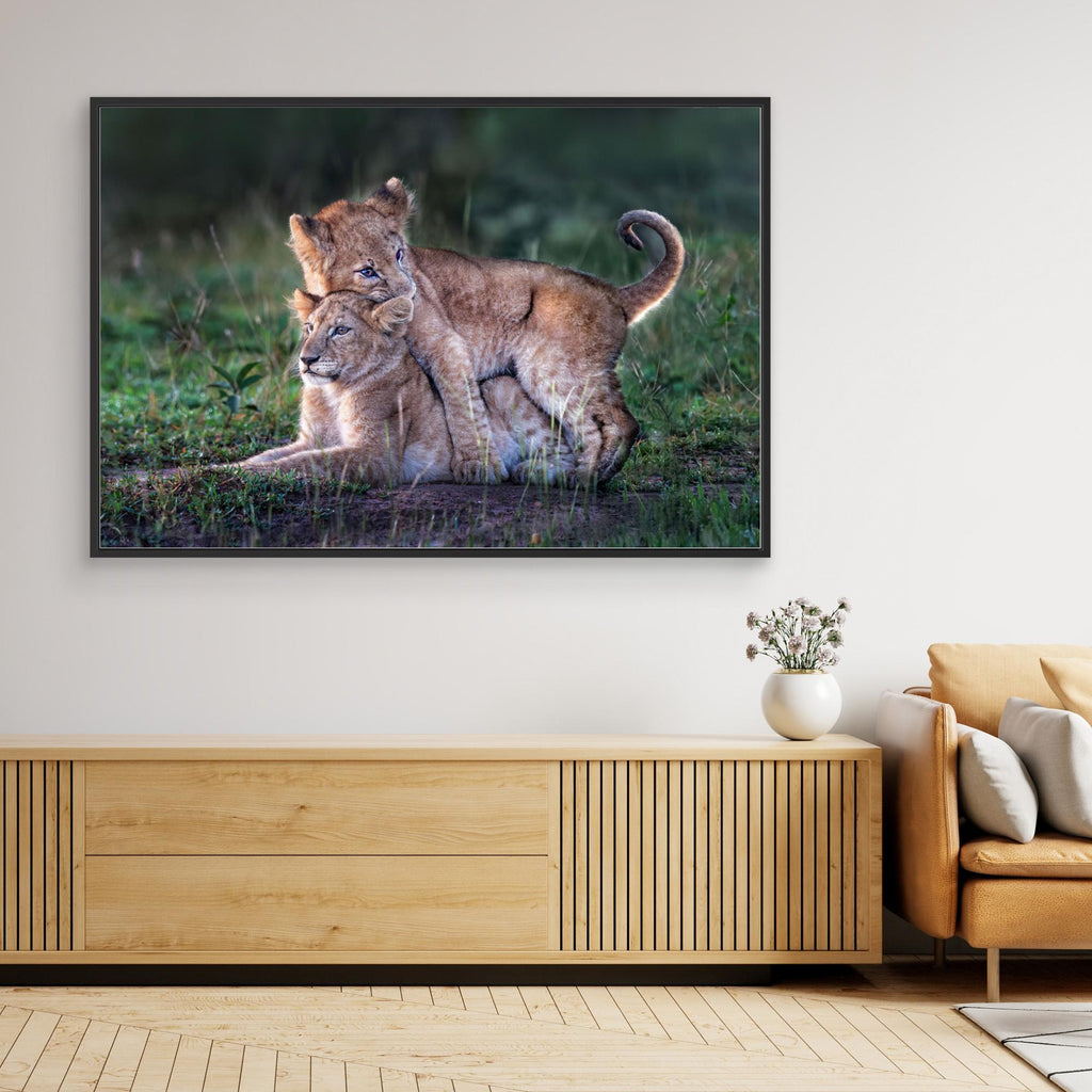 Playful lion cubs by Xavier Ortega Canvas