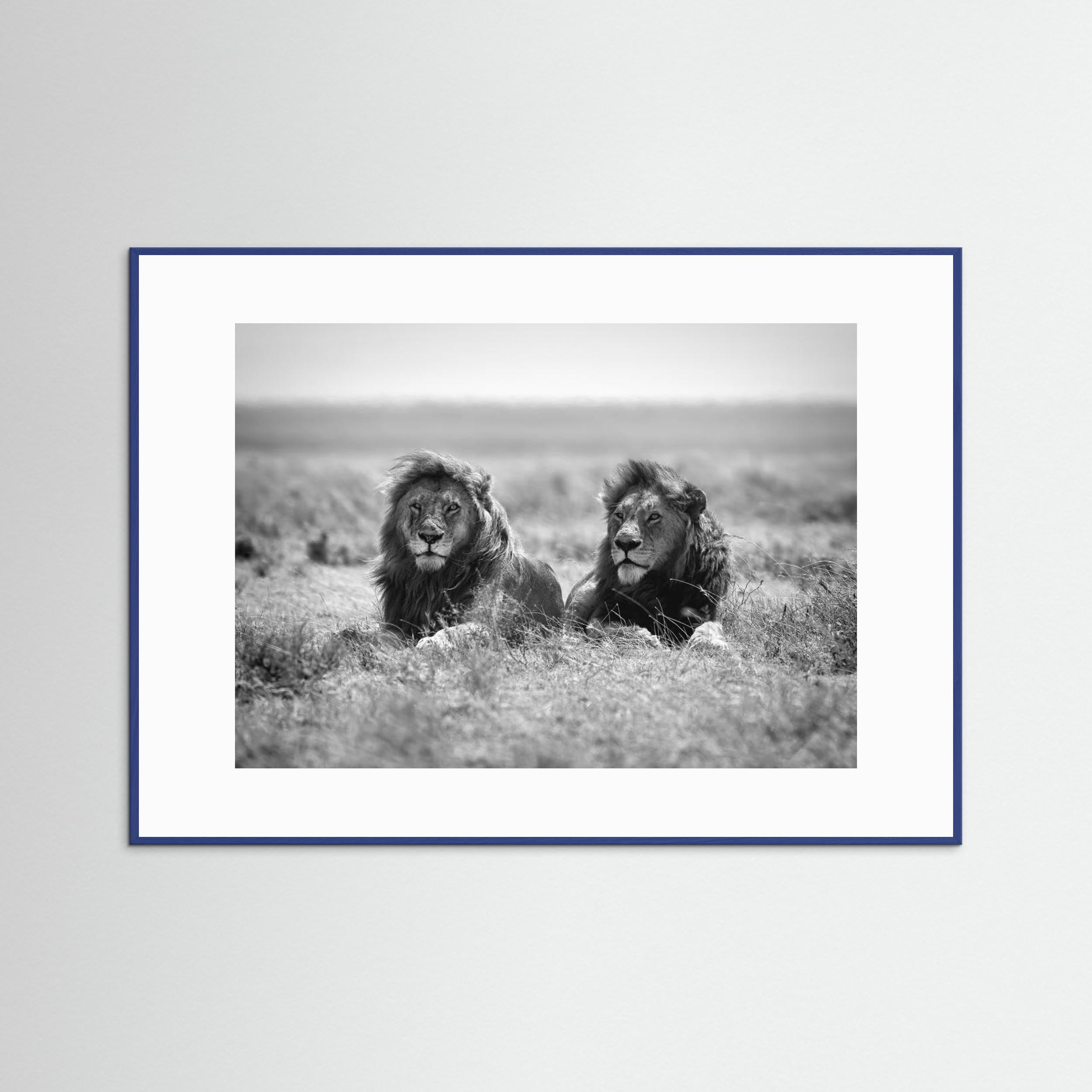 Two kings by Nicolás Merino Fine Art Paper 