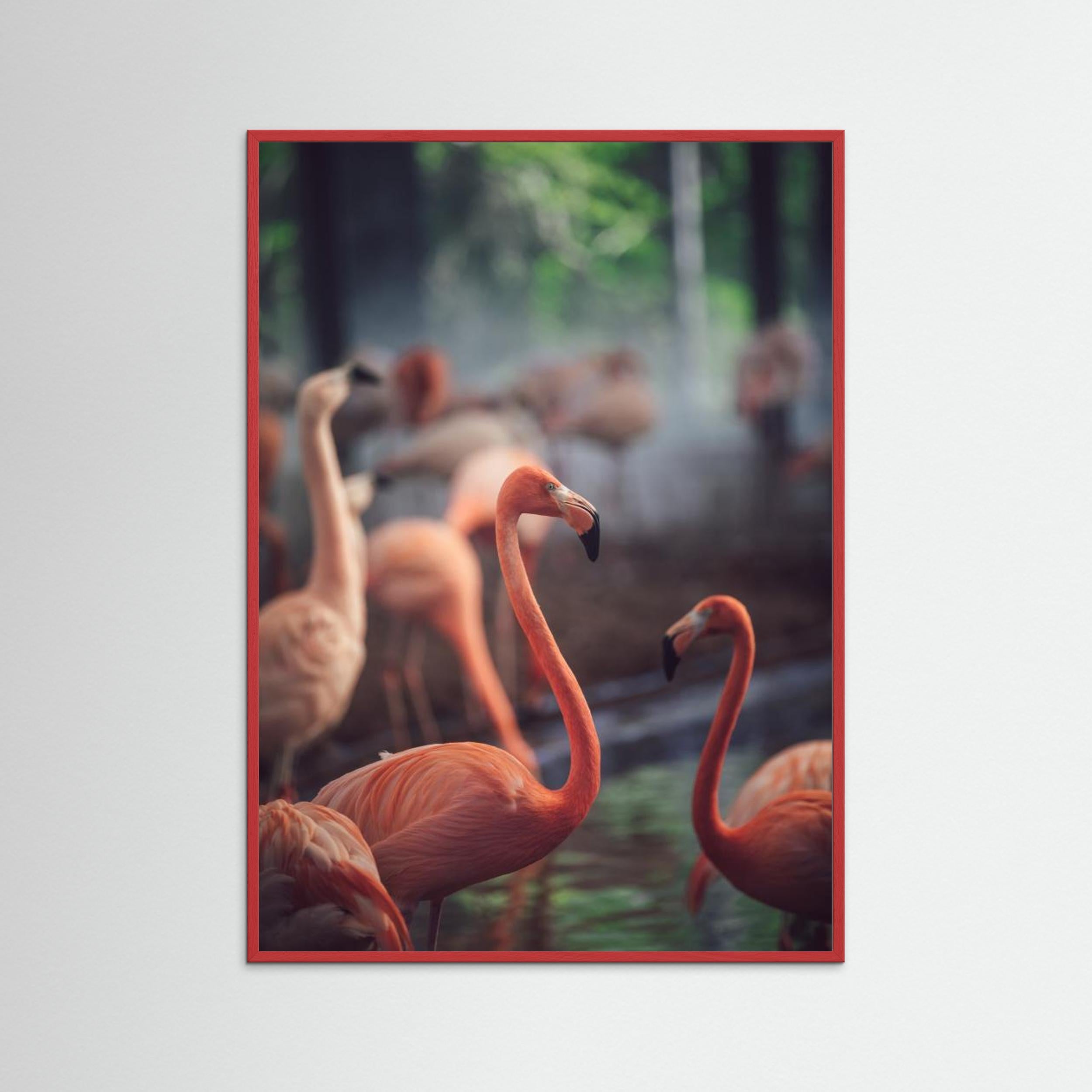 Flamingo by Dayvee Fine Art Paper