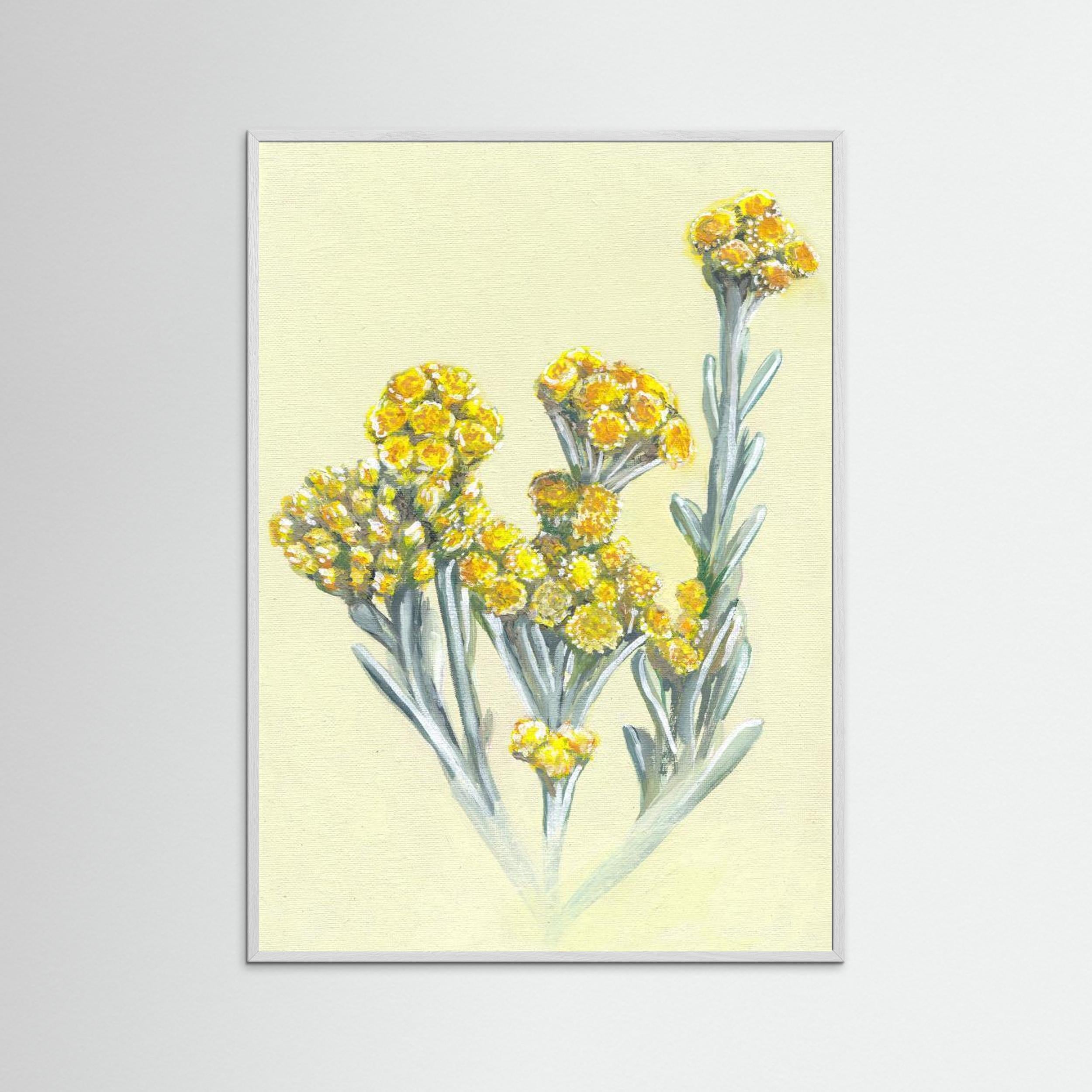 Cape Gold by Viccy Wanliss Fine Art Paper