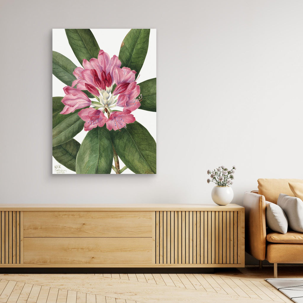 Mountain Rose Bay (1932) by Pictufy