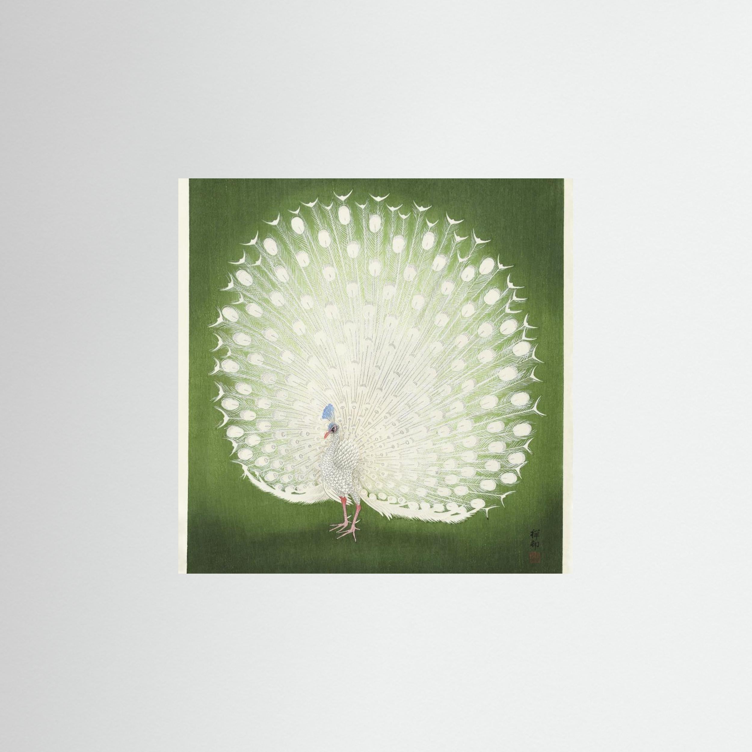 Peacock Fine Art Paper 