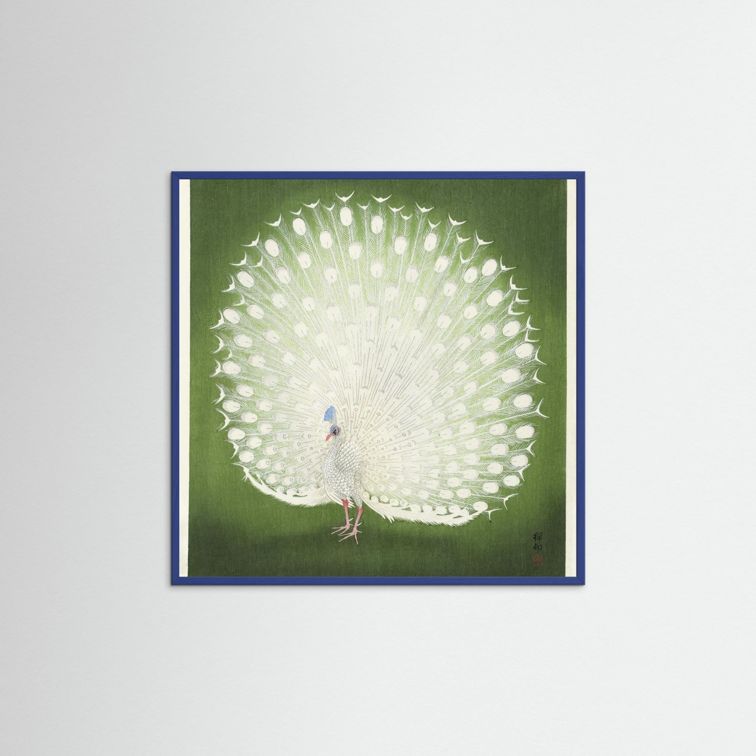 Peacock Fine Art Paper 