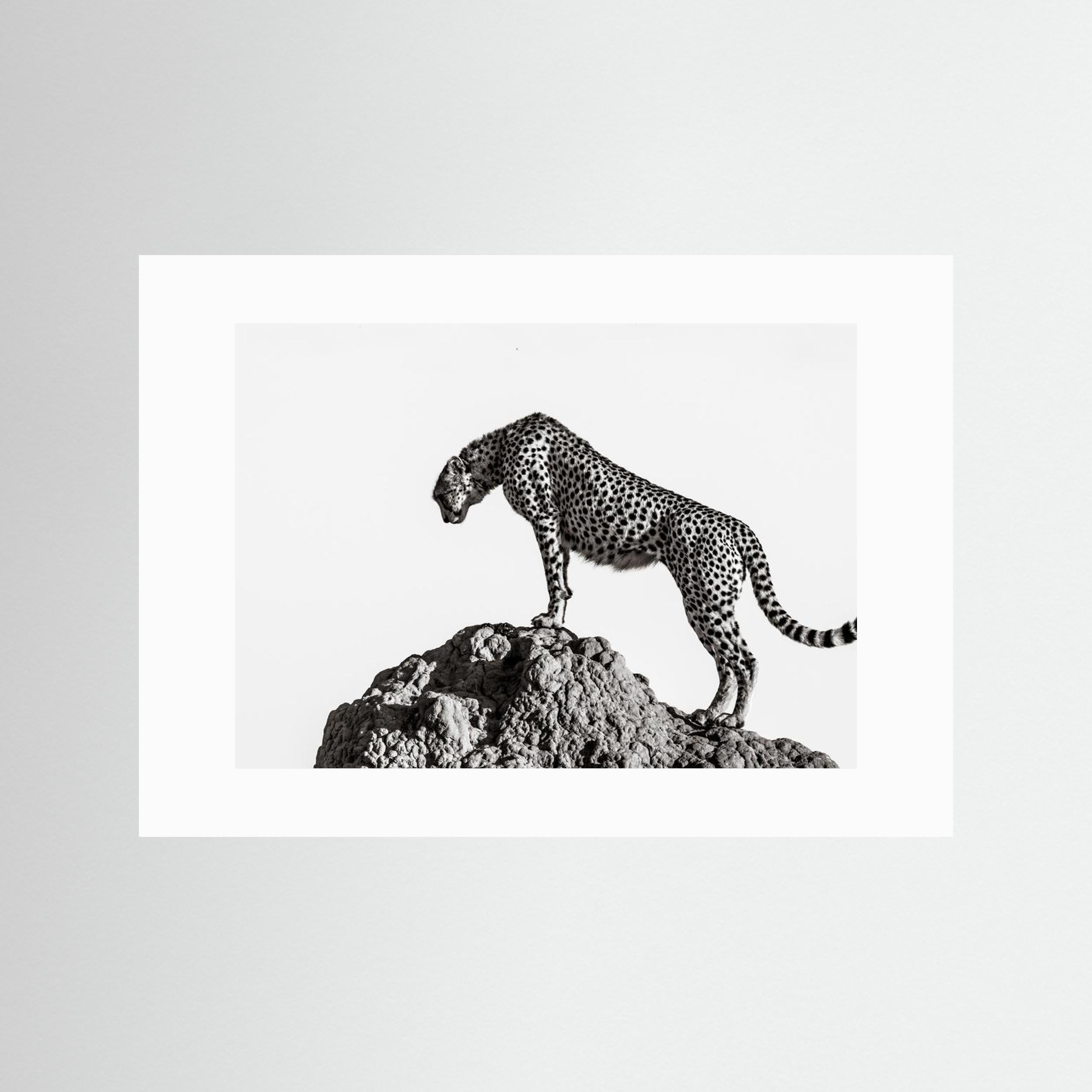the hunter by Ali Fine Art Paper 