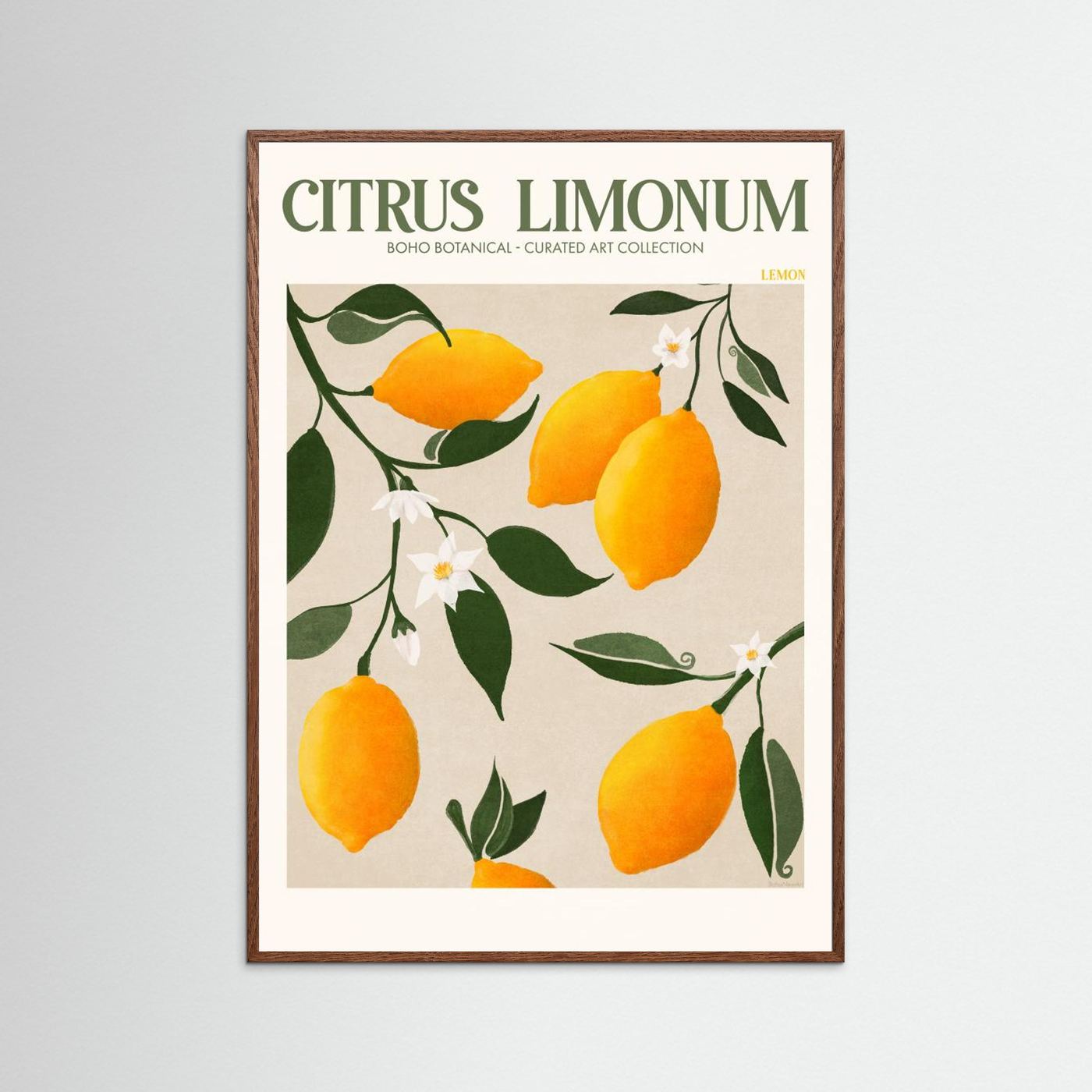 Citrus Limonum - Lemon by Emel Tunaboylu Fine Art Paper