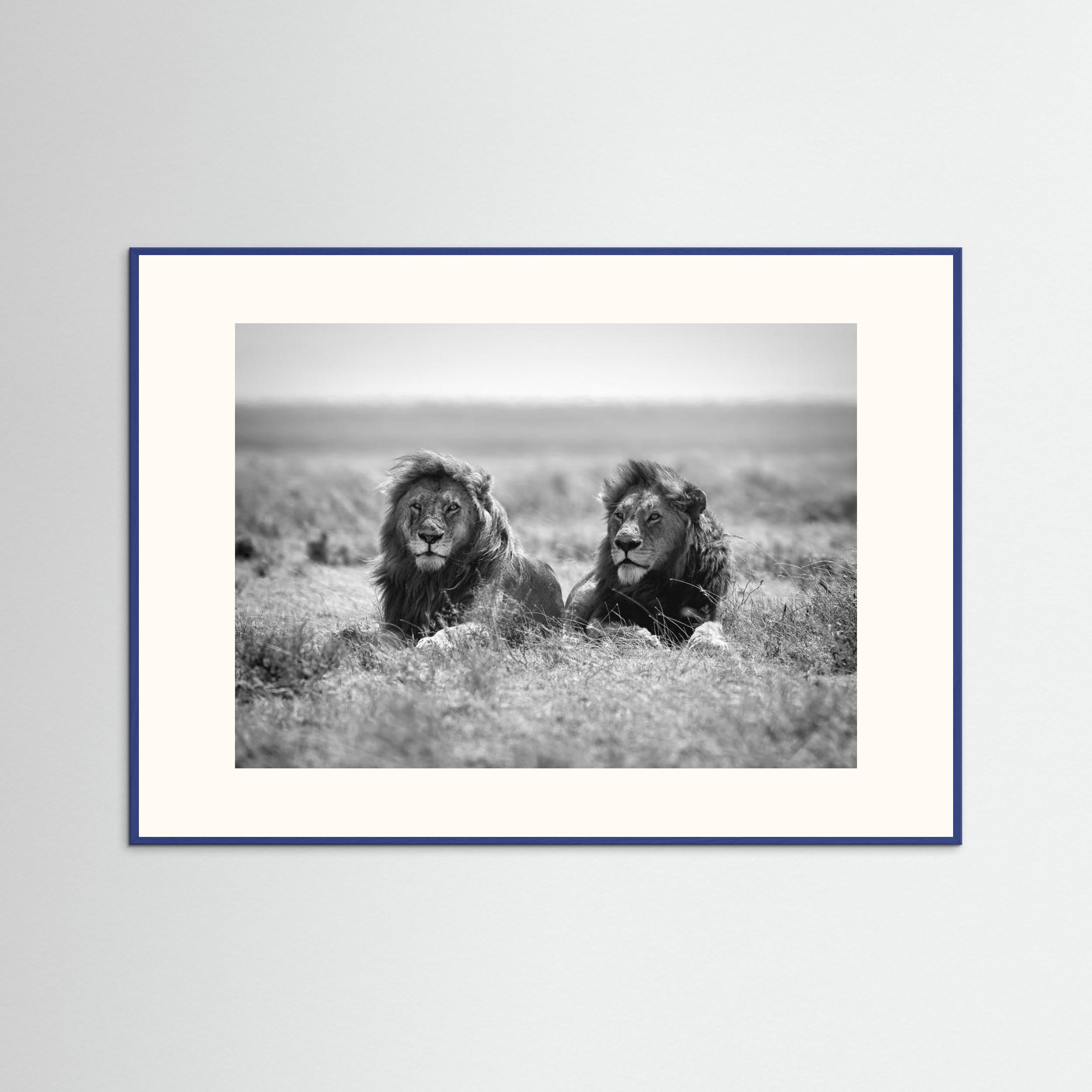Two kings by Nicolás Merino Fine Art Paper 