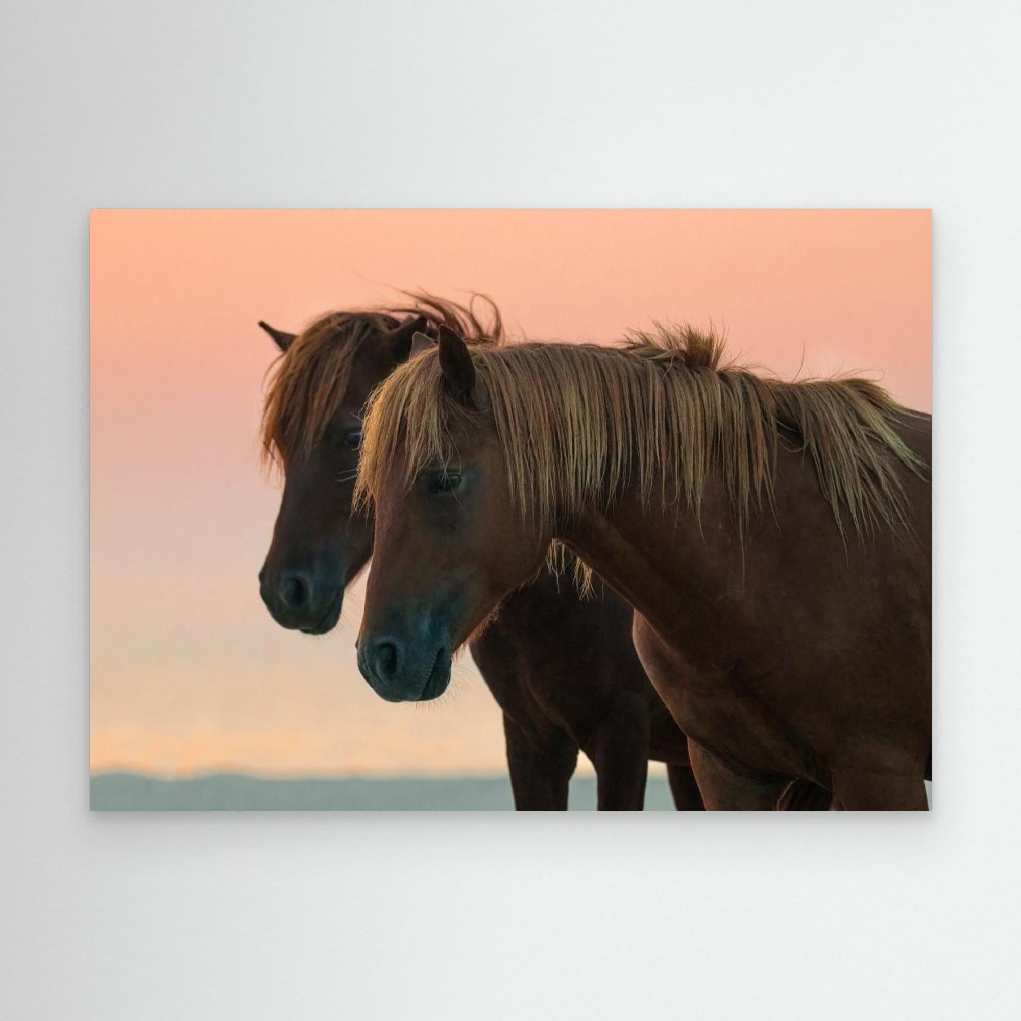 Looking forward by Wenjin Yu Canvas