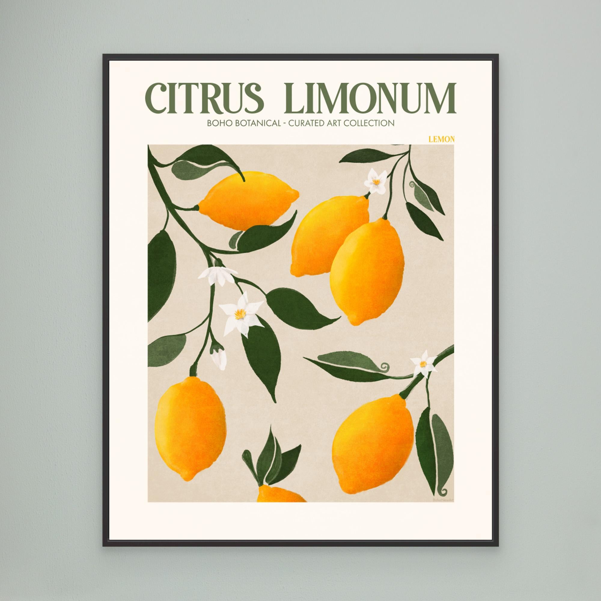 Citrus Limonum - Lemon by Emel Tunaboylu