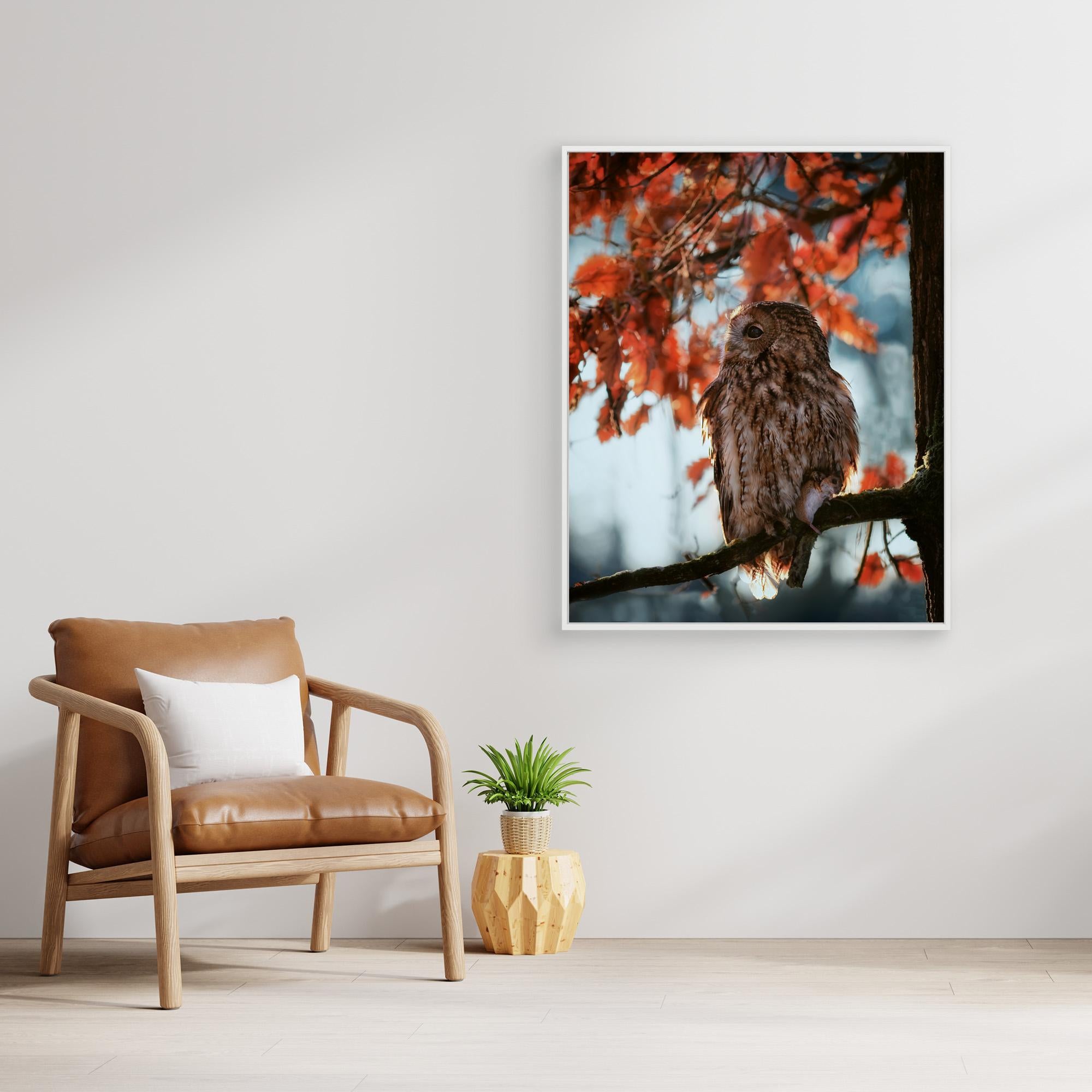 Resting owl with prey by Michaela Firešován Canvas