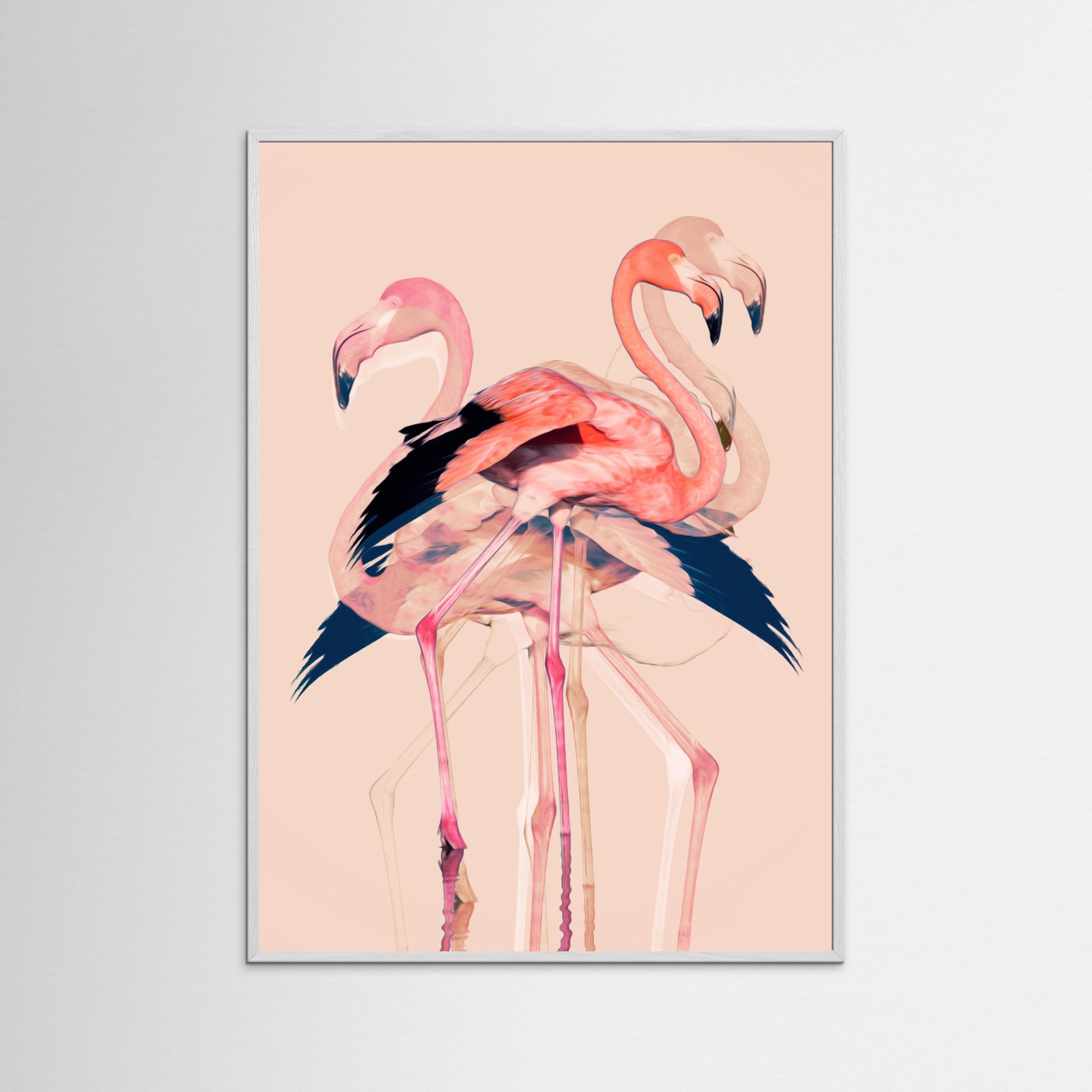 Flamingos nr. 3 by Baard Martinussen Fine Art Paper