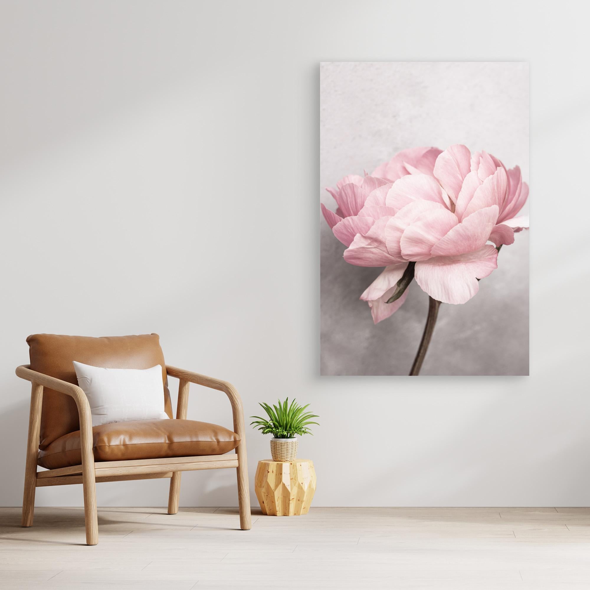 Peony by Kathrin Pienaar