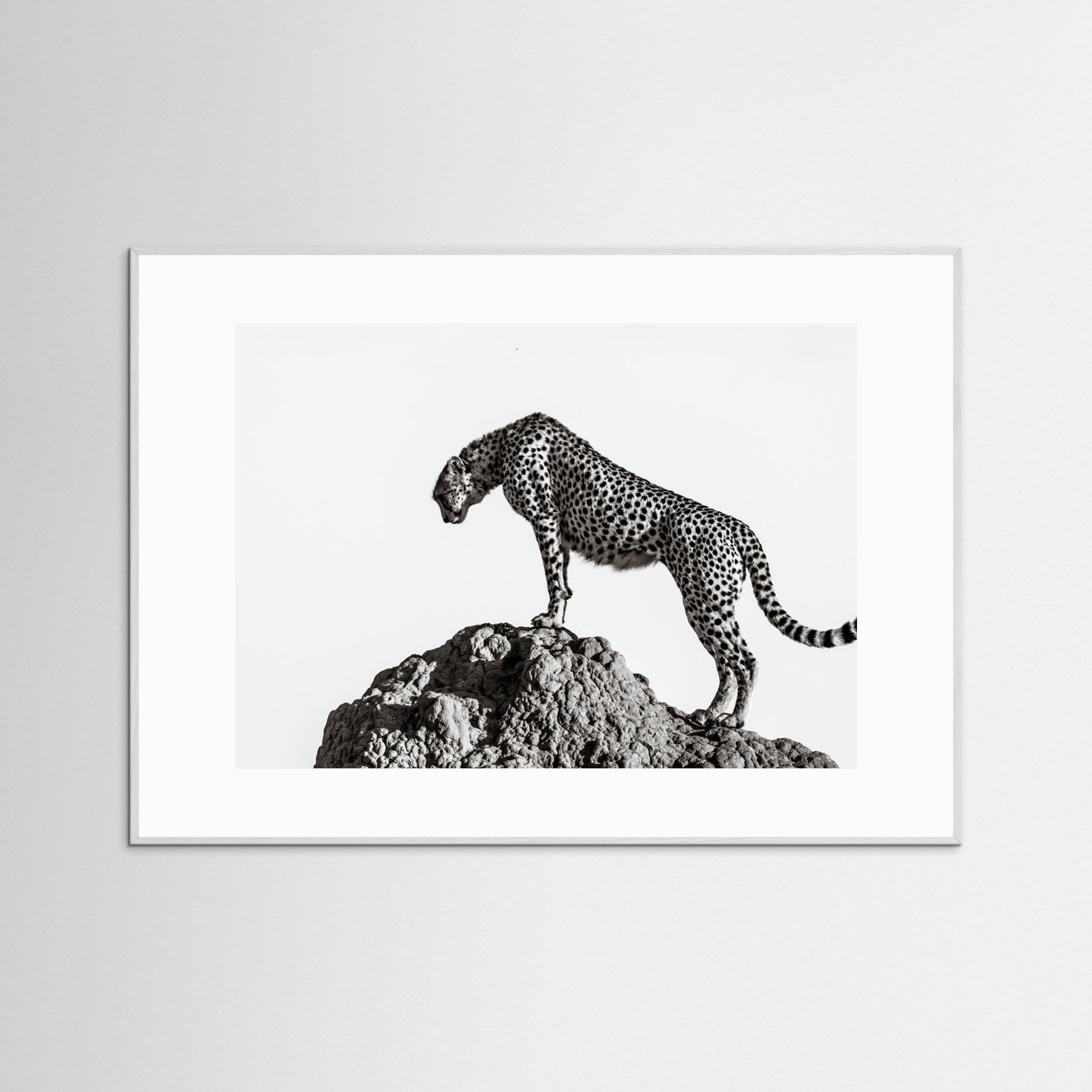 the hunter by Ali Fine Art Paper 