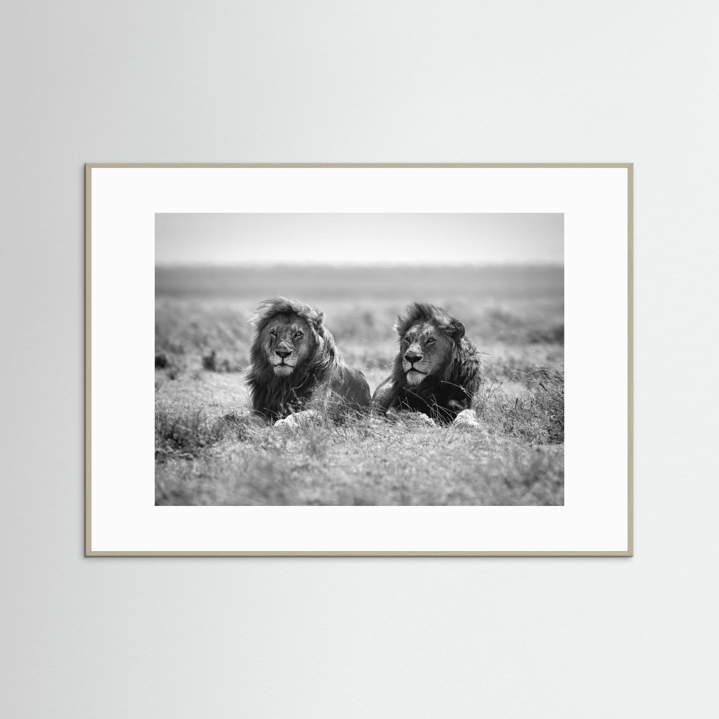 Two kings by Nicolás Merino Fine Art Paper 