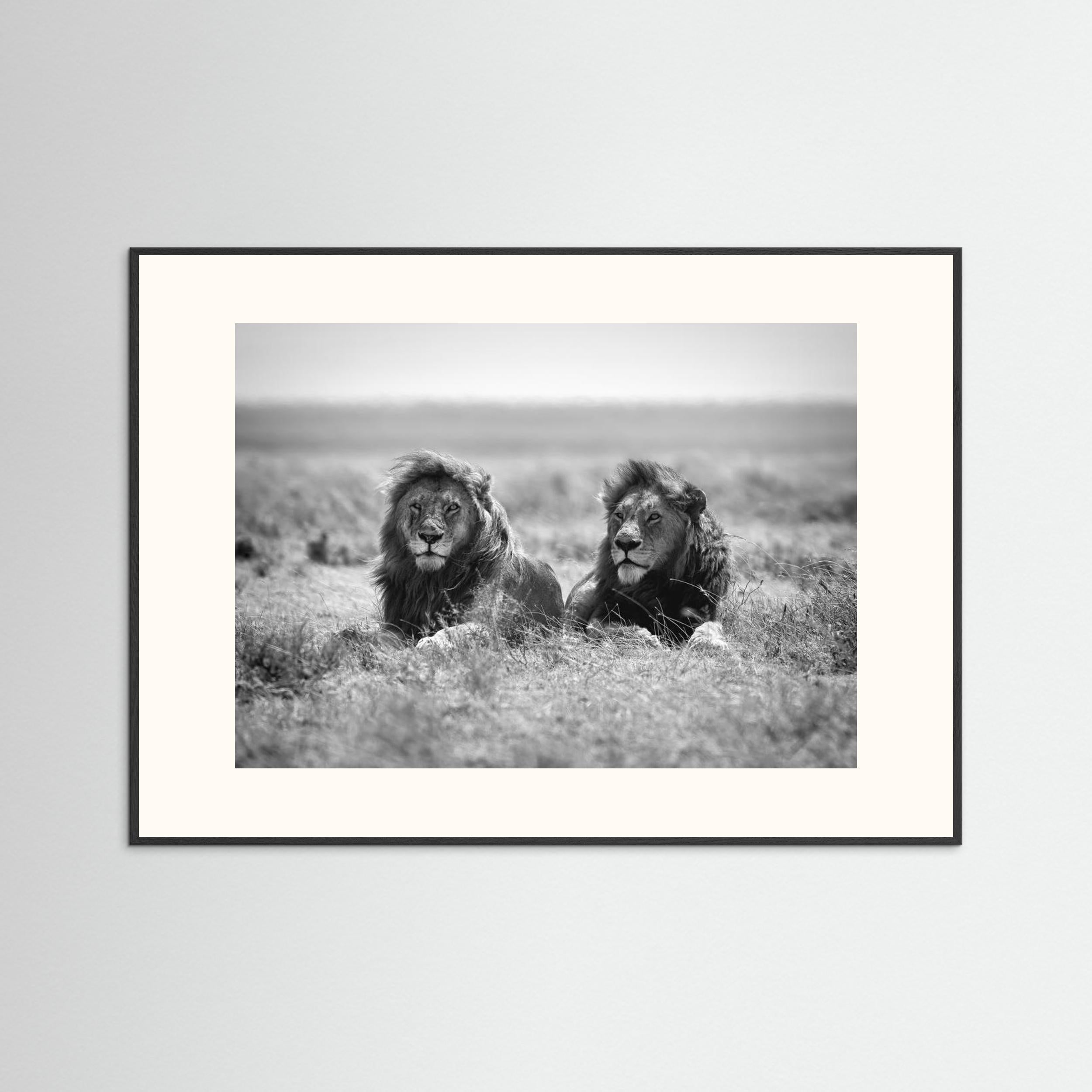 Two kings by Nicolás Merino Fine Art Paper 