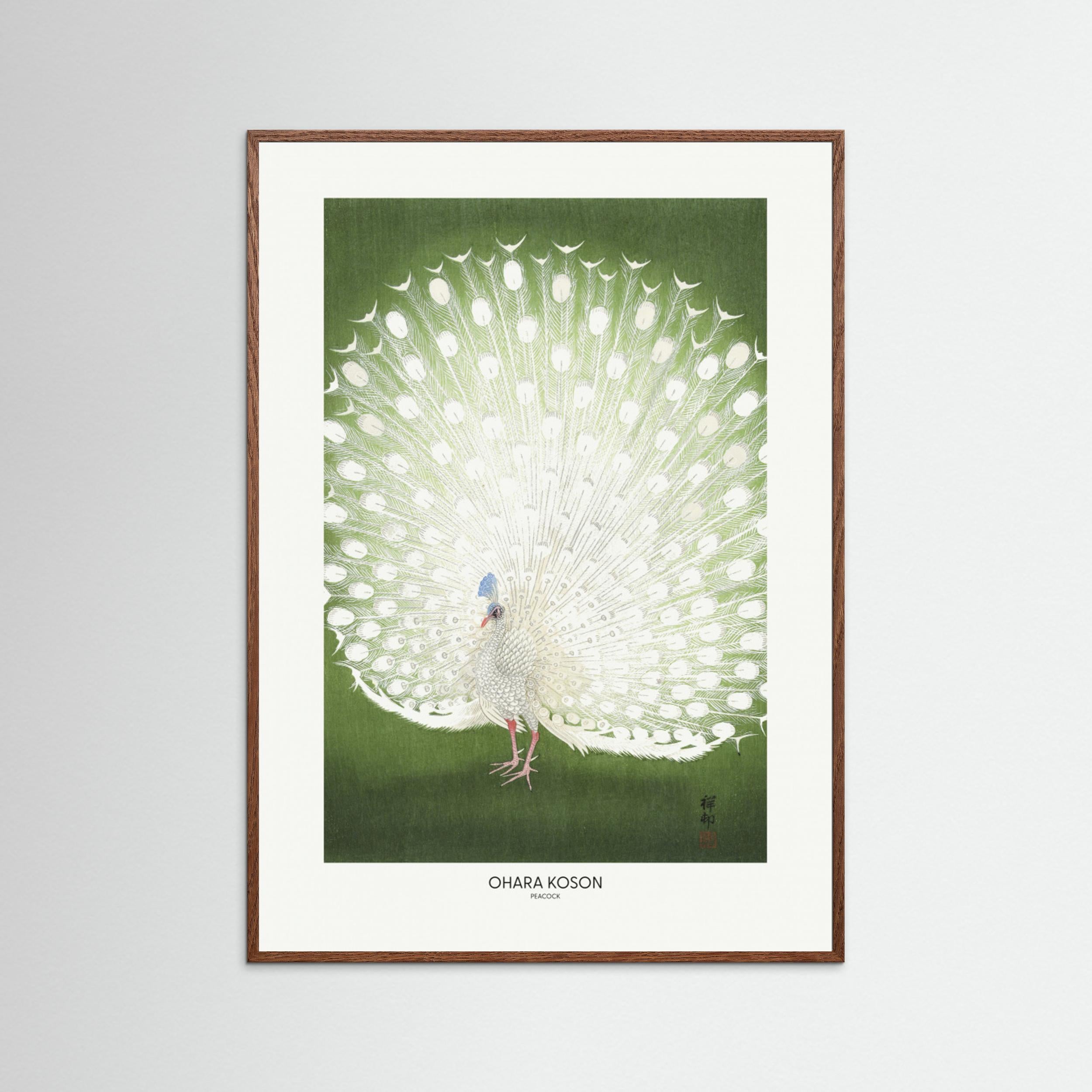 Peacock - Cropped Fine Art Paper 