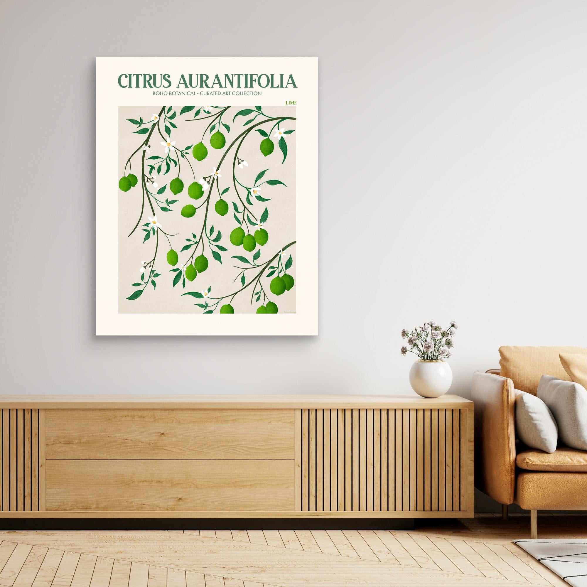 Citrus Aurantifolia - Lime by Emel Tunaboylucan Canvas