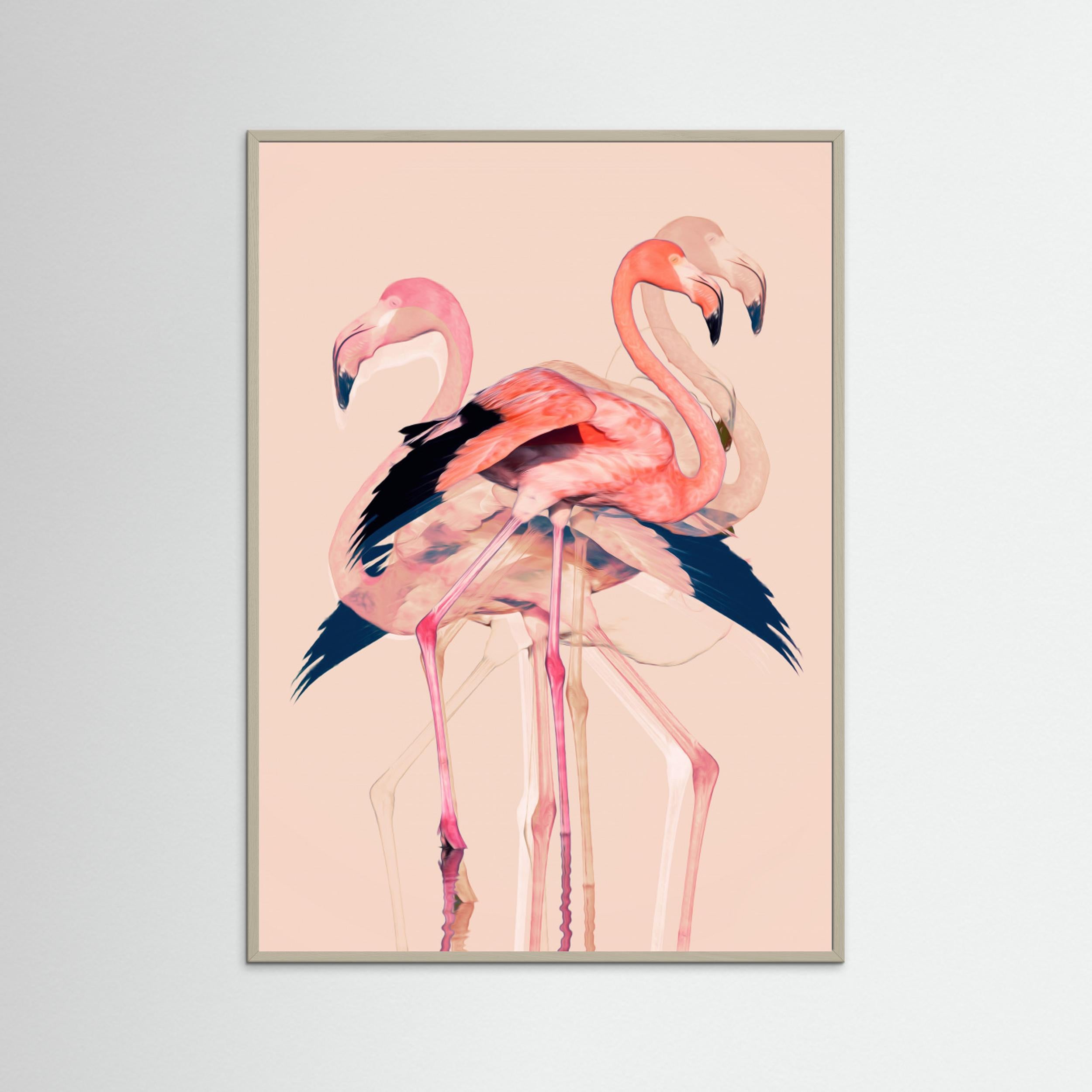 Flamingos nr. 3 by Baard Martinussen Fine Art Paper