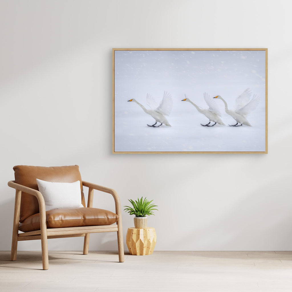 Happy in the white world by Qing Zhao Canvas