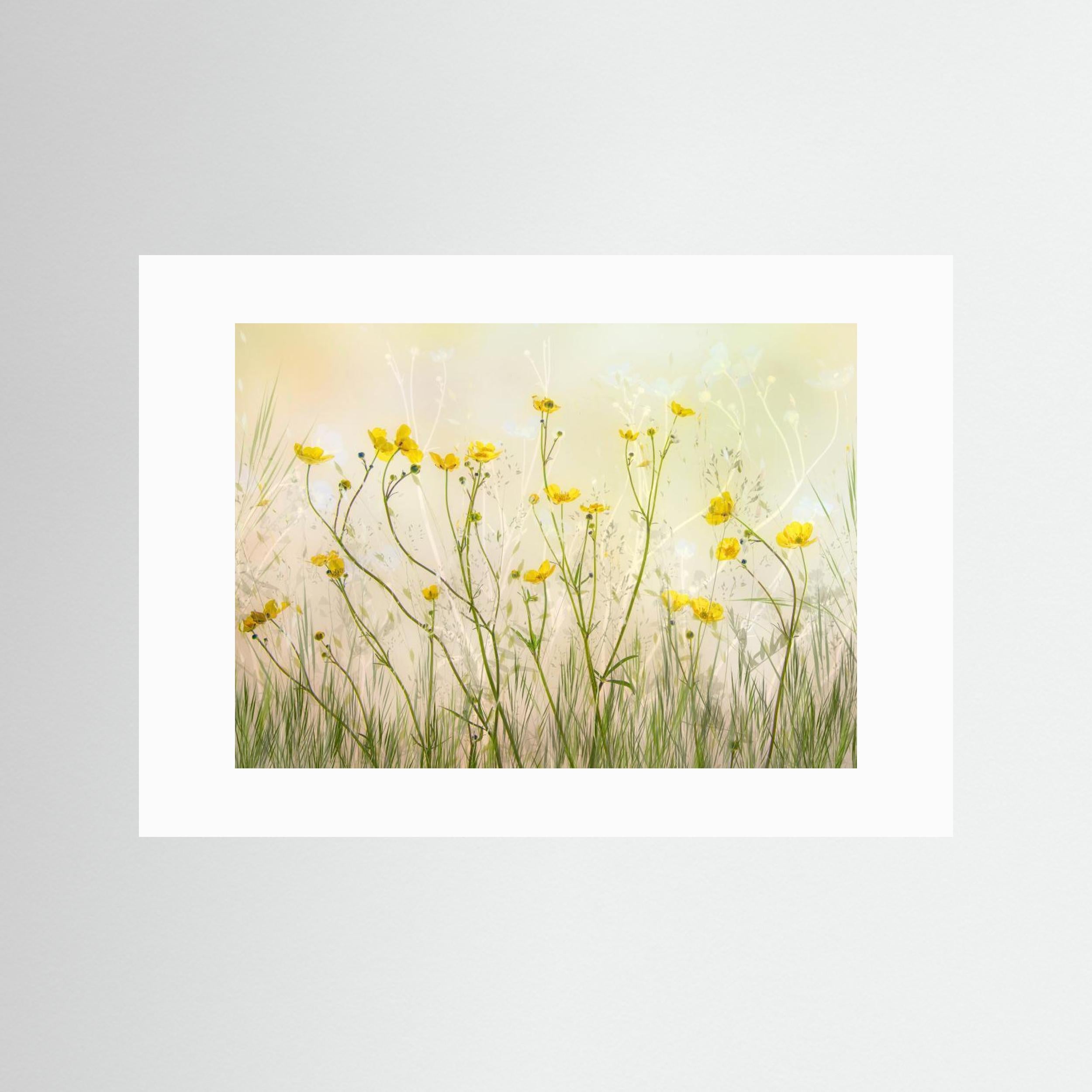 Good morning! by Nel Talen Fine Art Paper