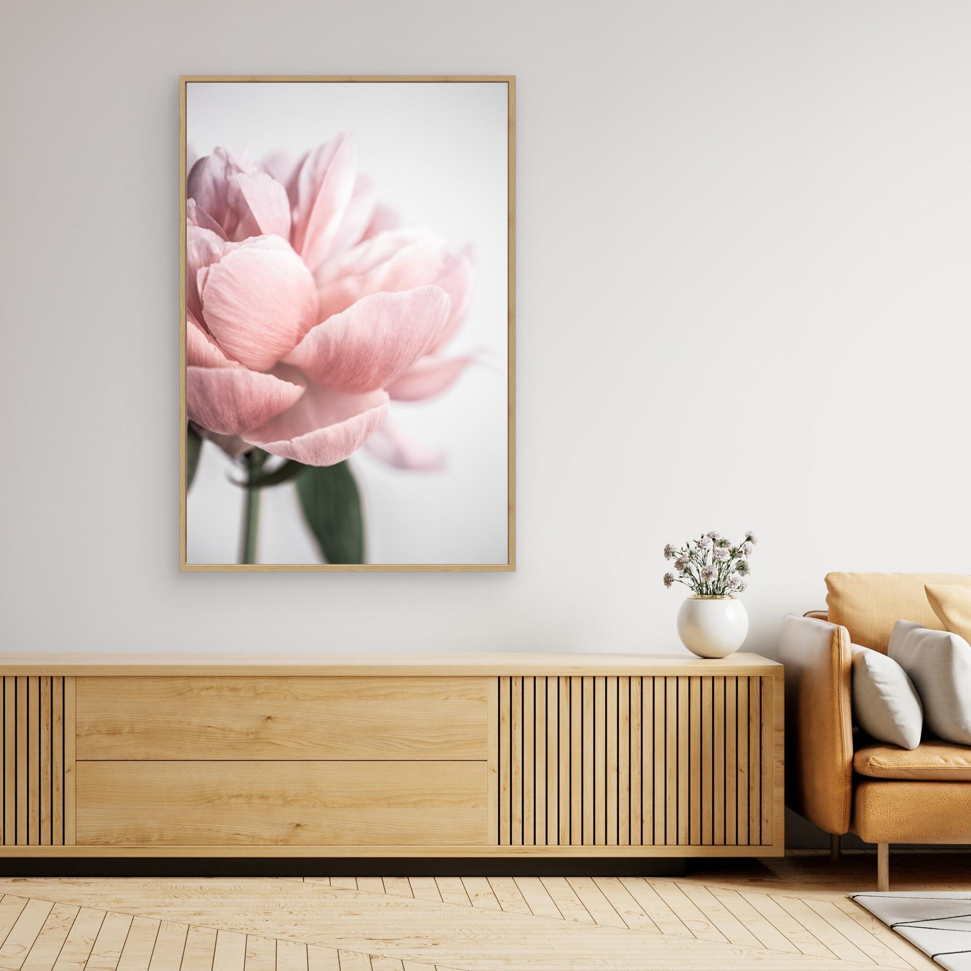 Peony 3 by Mareike Böhmer