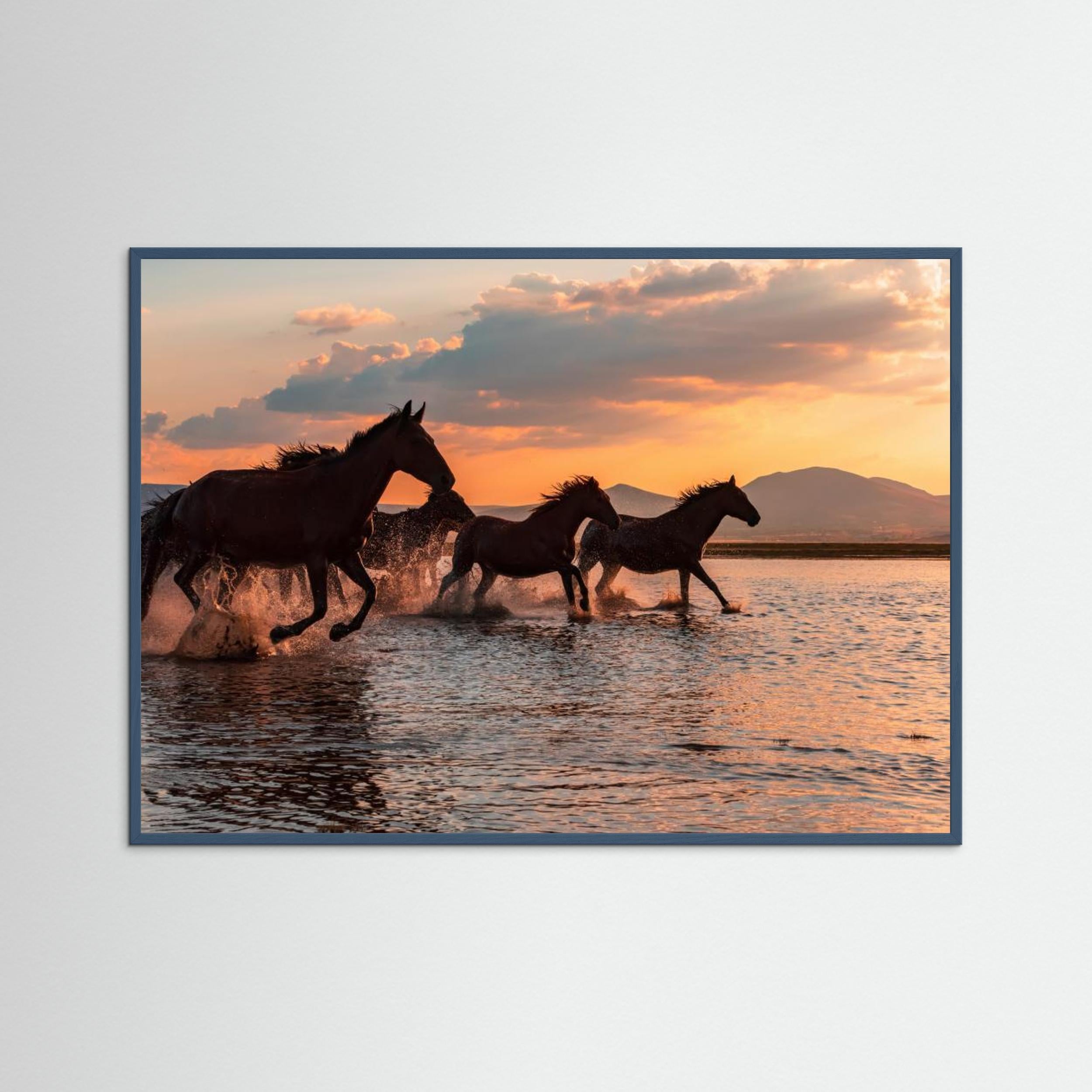 WATER HORSES by Barkan Tekdogan Fine Art Paper