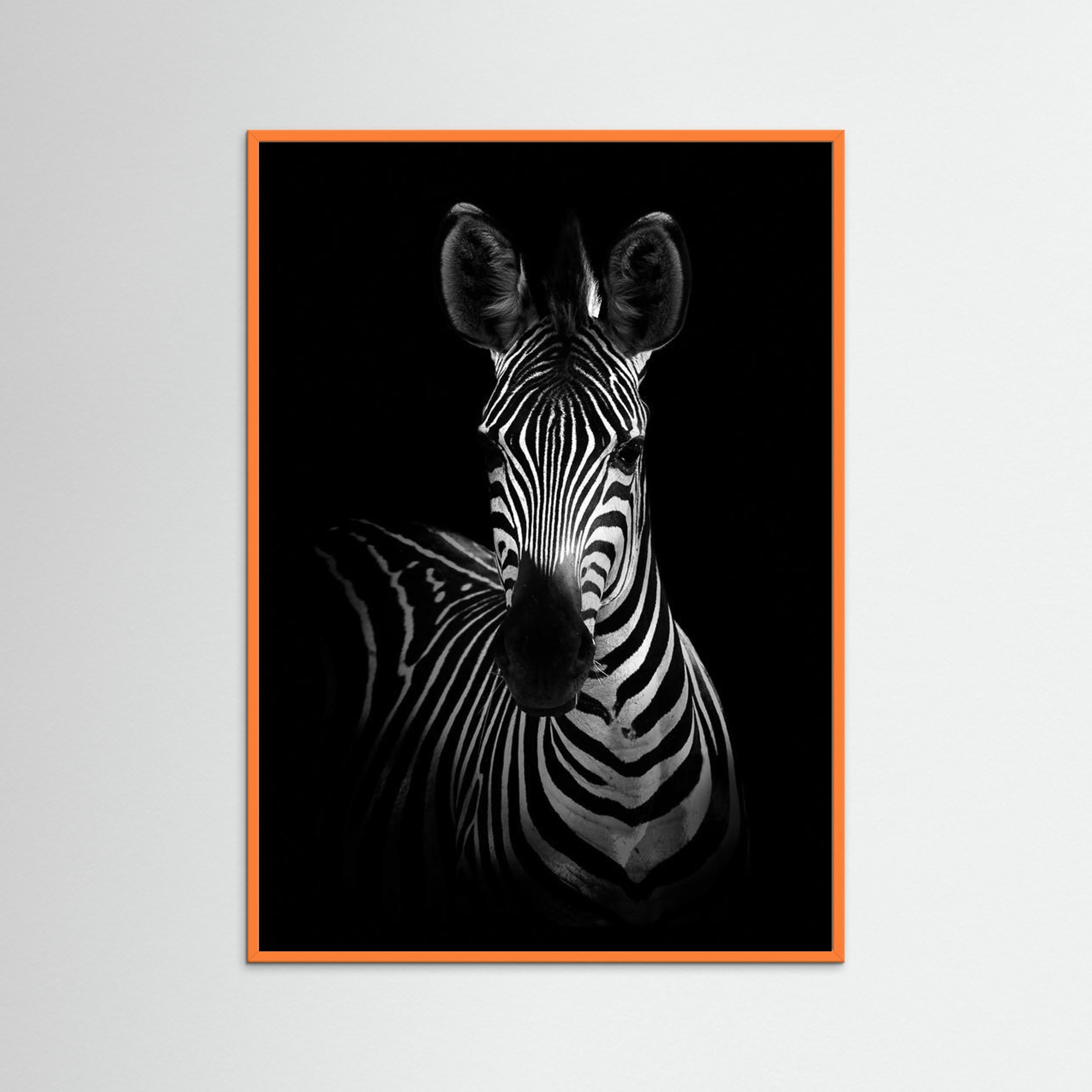 The Zebra by Wild Photo Art Fine Art Paper