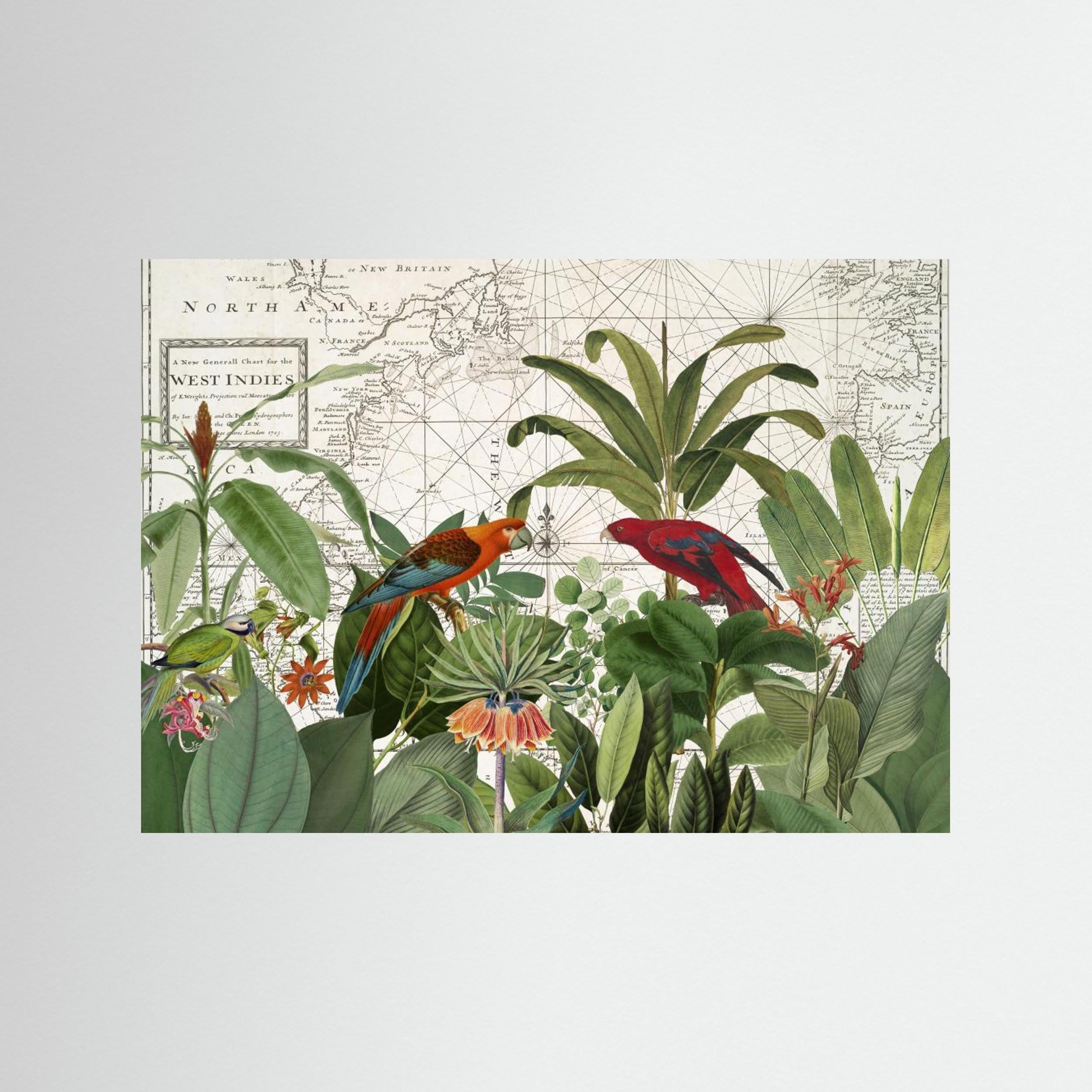 Exotic Wildlife 006 by Andrea Haase