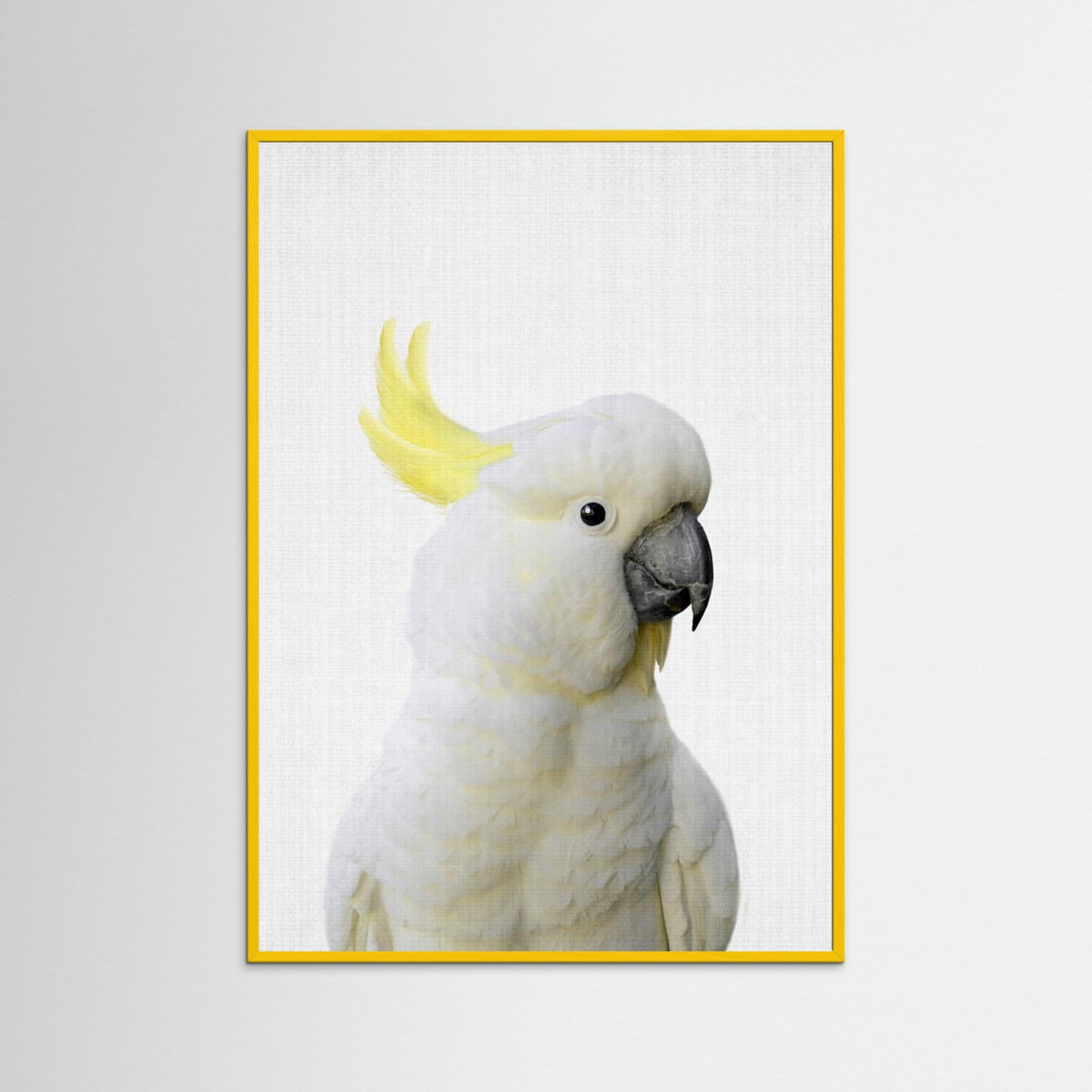 Peekaboo Cockatoo by Lila &Amp; Lola Fine Art Paper