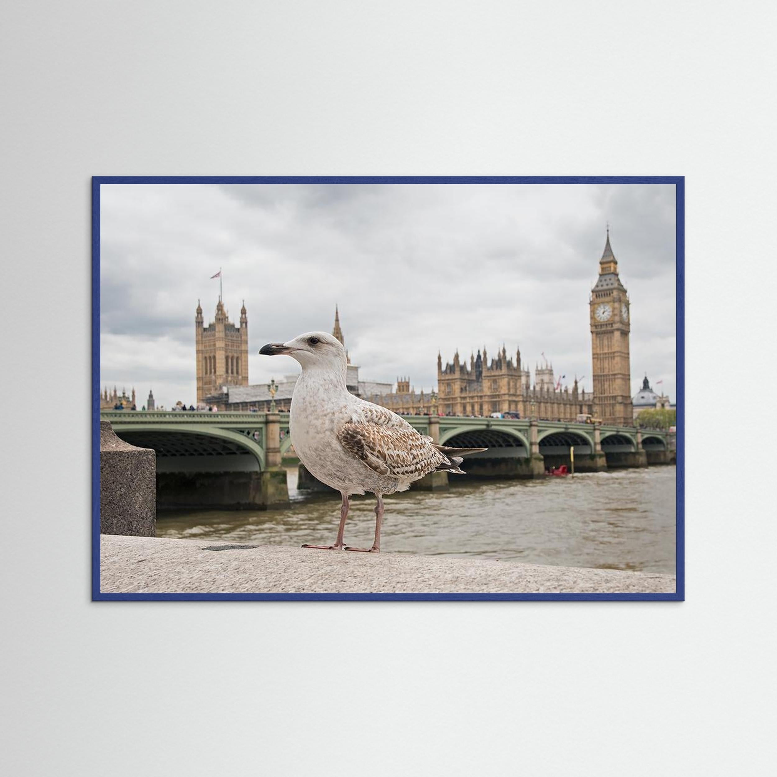 The Guardian by Marco Pozzi Fine Art Paper