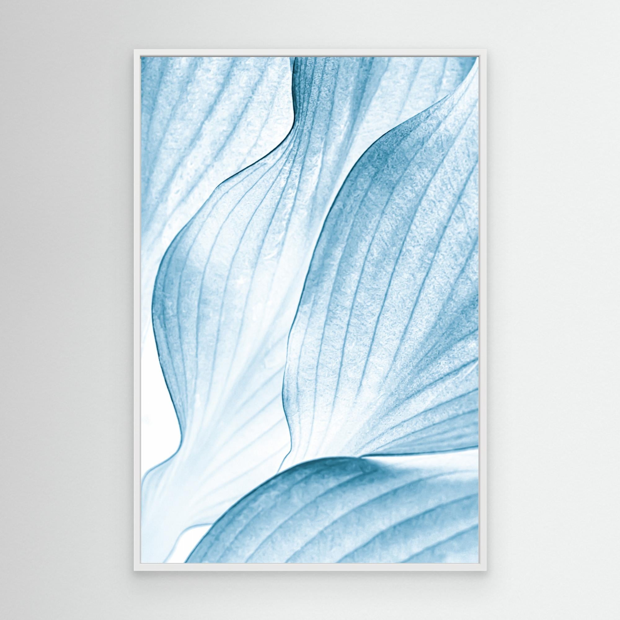 Icy Waves by Beth Buelow Canvas