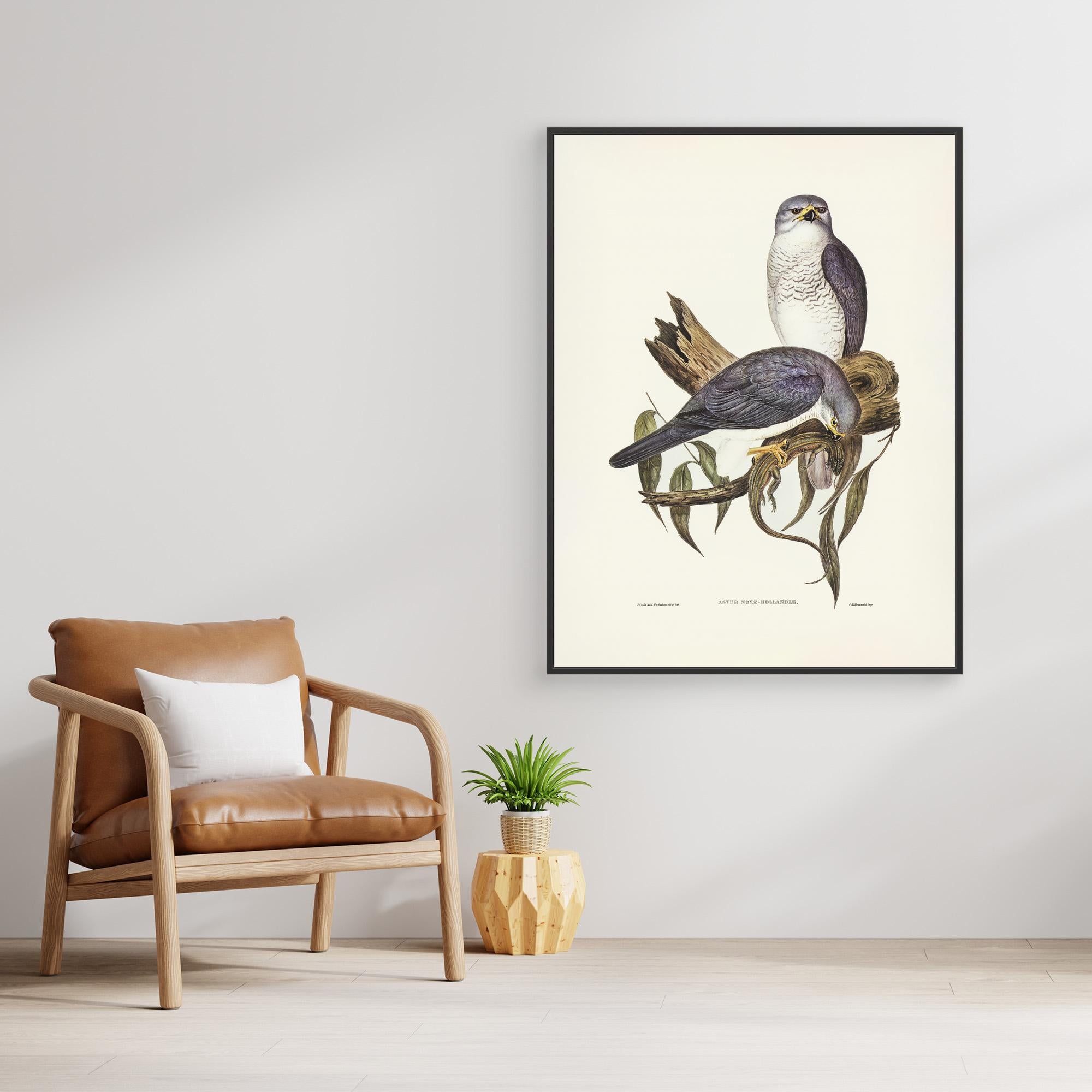 New Holland Goshawk Canvas