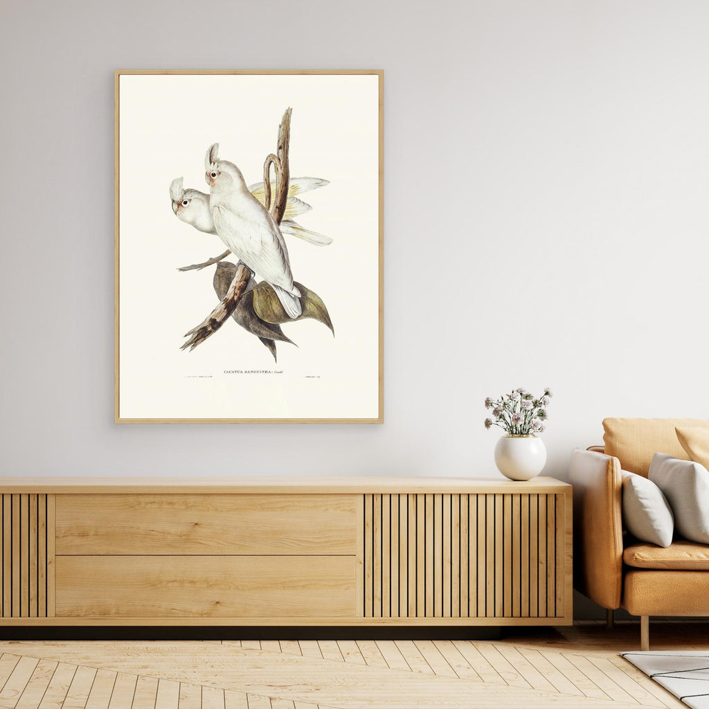 Blood Stained Cockatoo by Pictufy Canvas