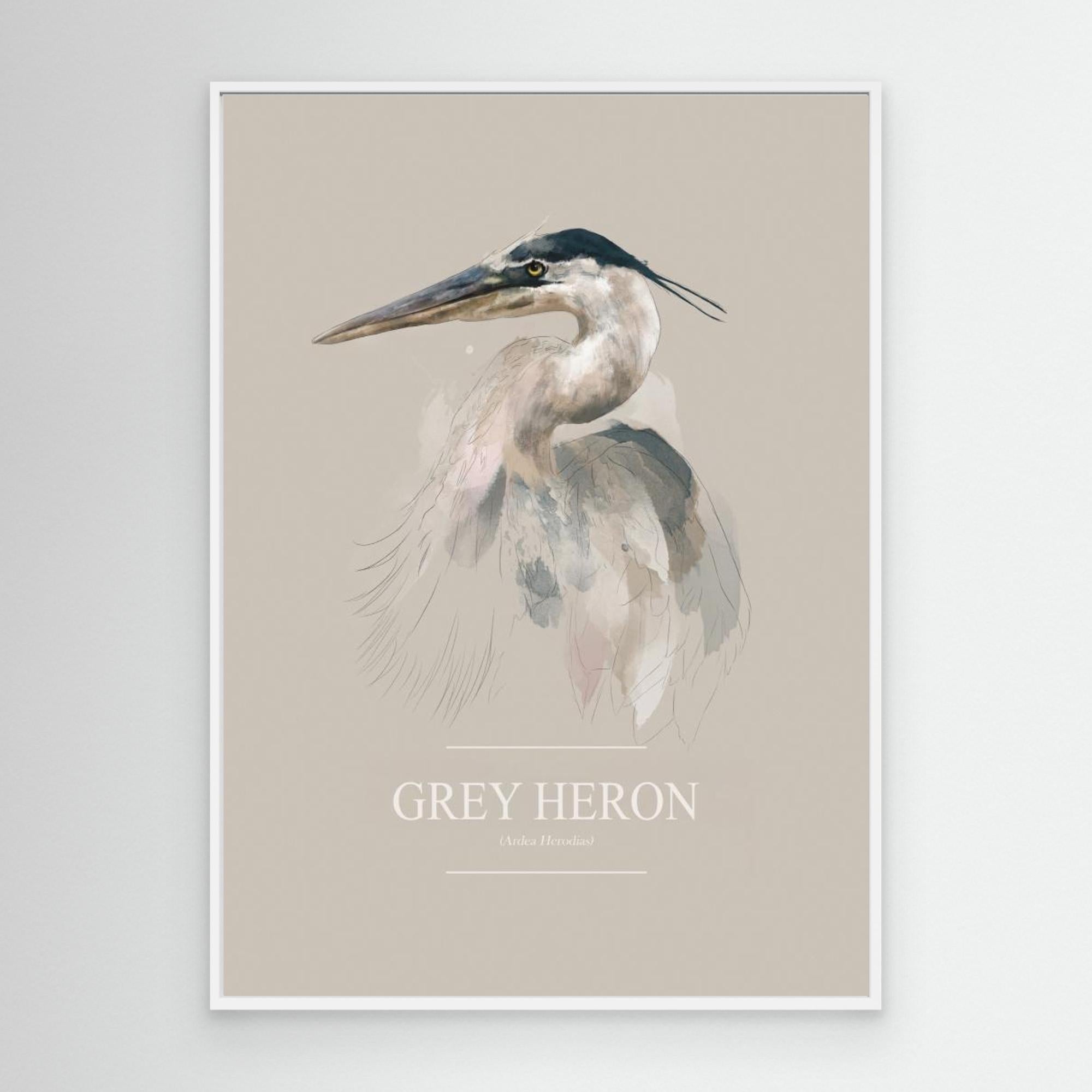 Grey Heron by Gabriella Roberg Canvas