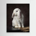 Timeless Portrait of Coco, the White Holland Lop Rabbit by Noa Nick Canvas