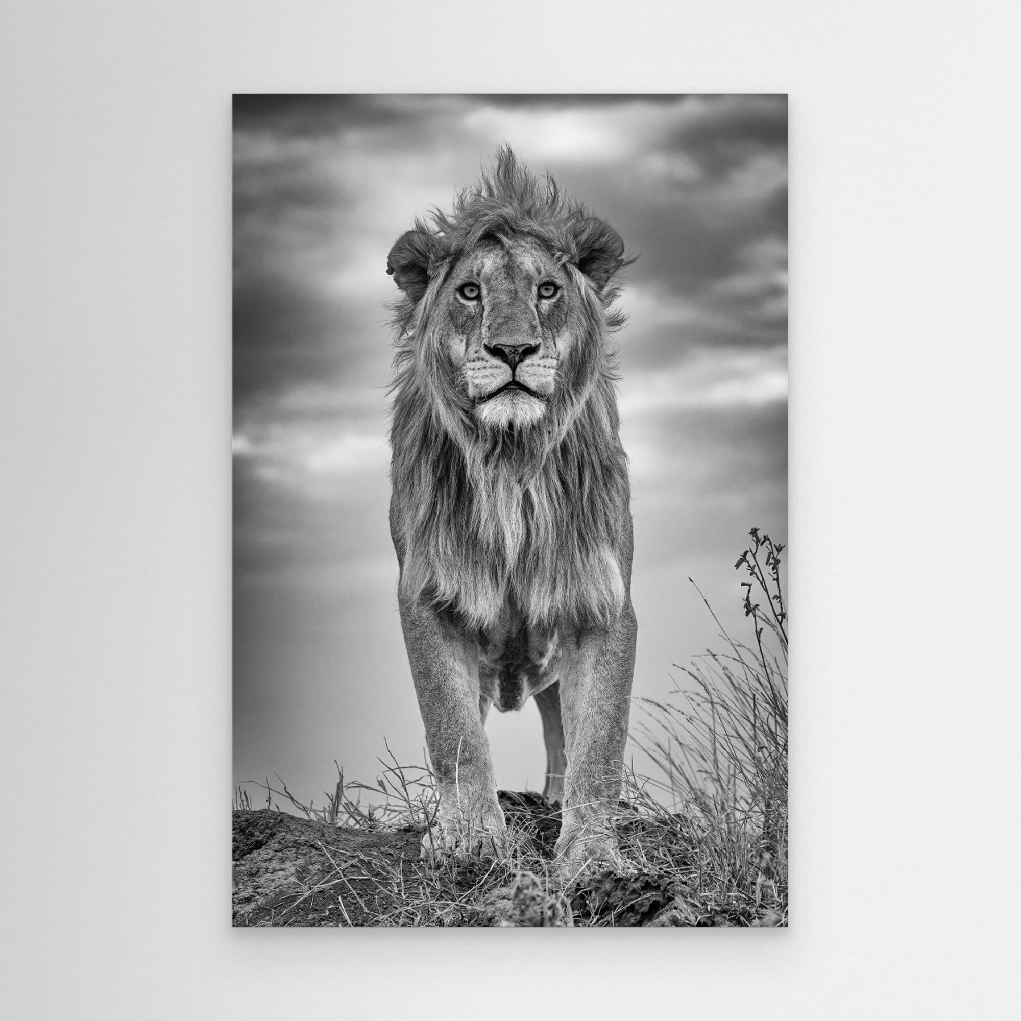 Encounter with the King by Ali Khataw Canvas