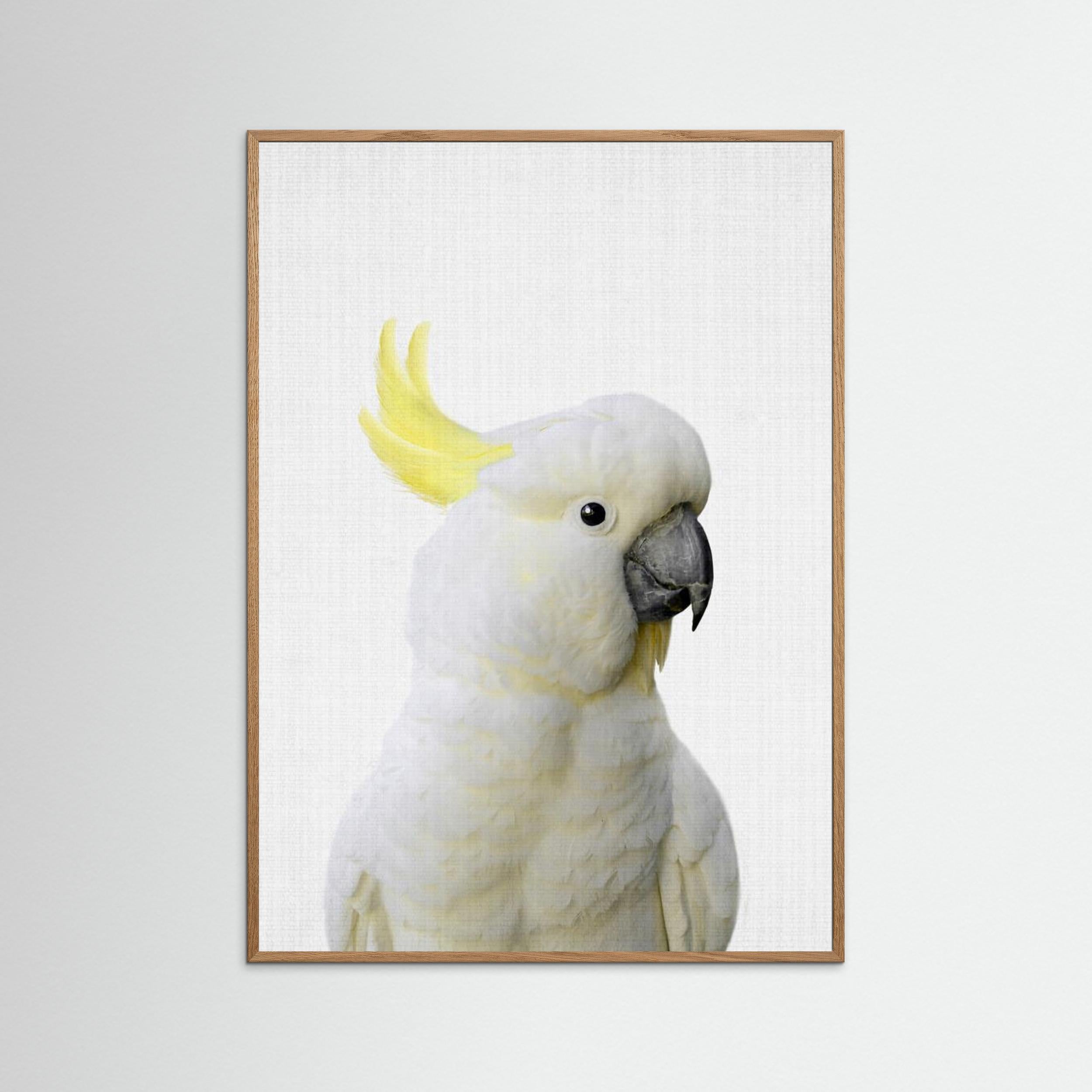 Peekaboo Cockatoo by Lila &Amp; Lola Fine Art Paper