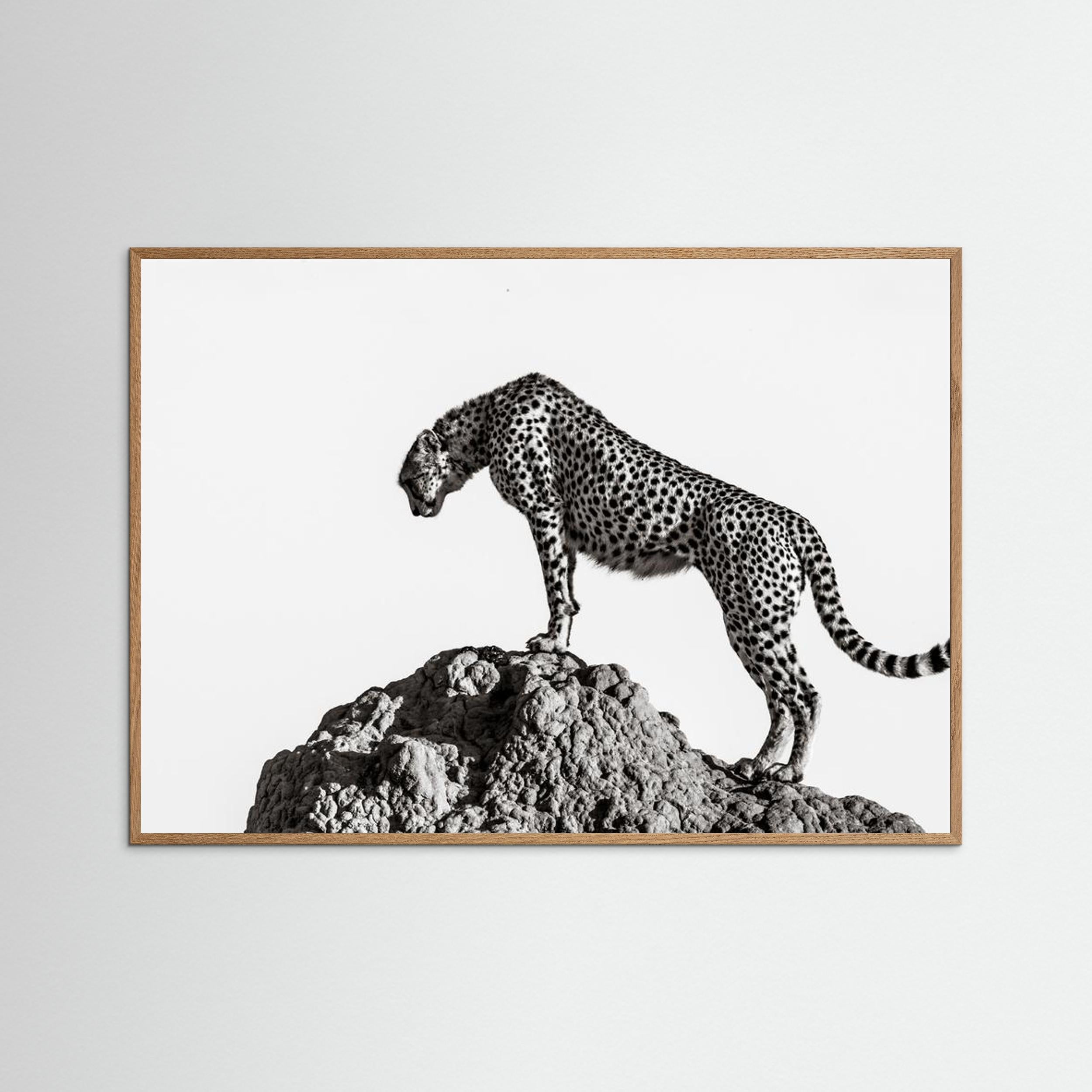 the hunter by Ali Fine Art Paper 