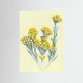 Cape Gold by Viccy Wanliss Fine Art Paper