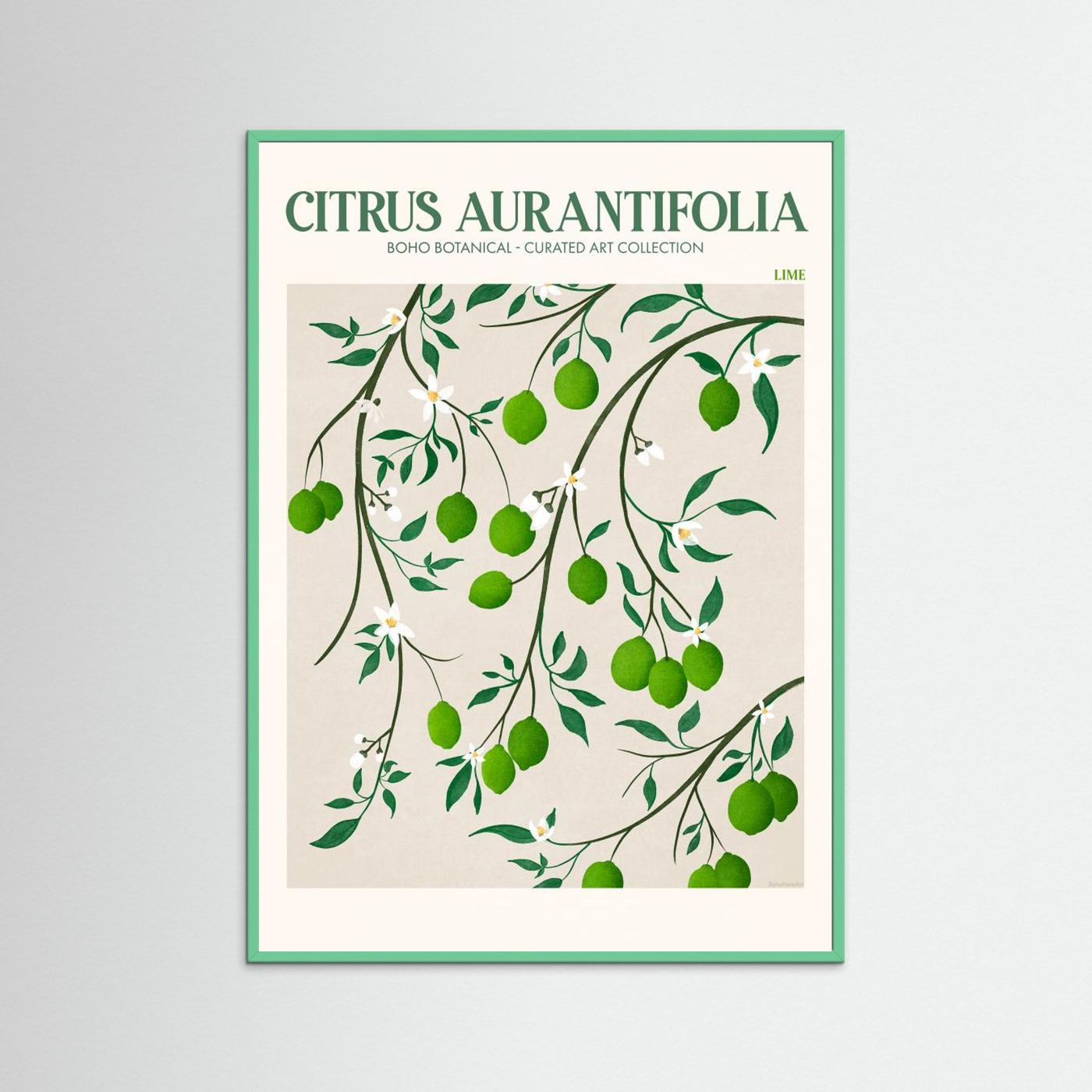 Citrus Aurantifolia - Lime by Emel Tunaboylu Fine Art Paper