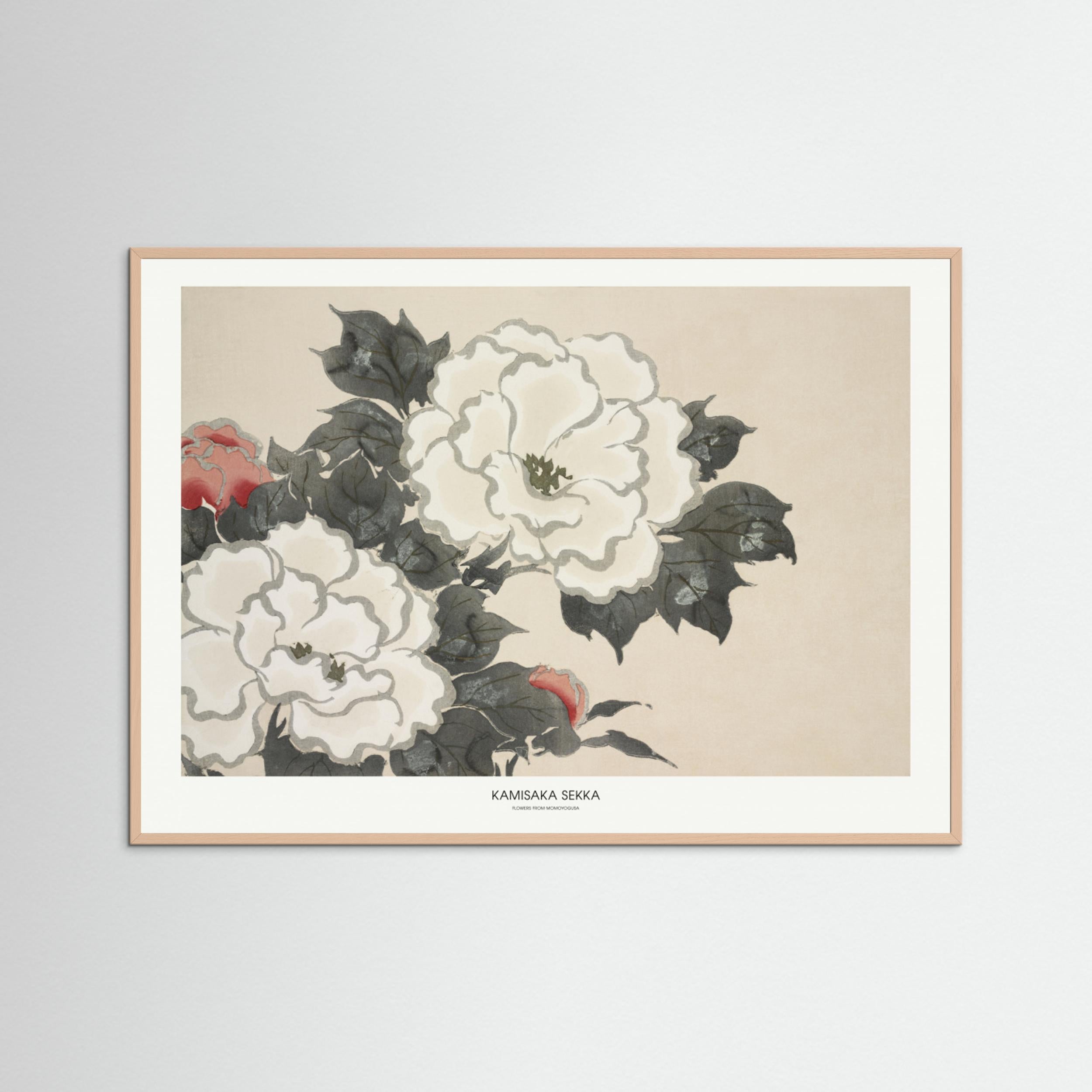 Flowers From Momoyogusa Fine Art Paper