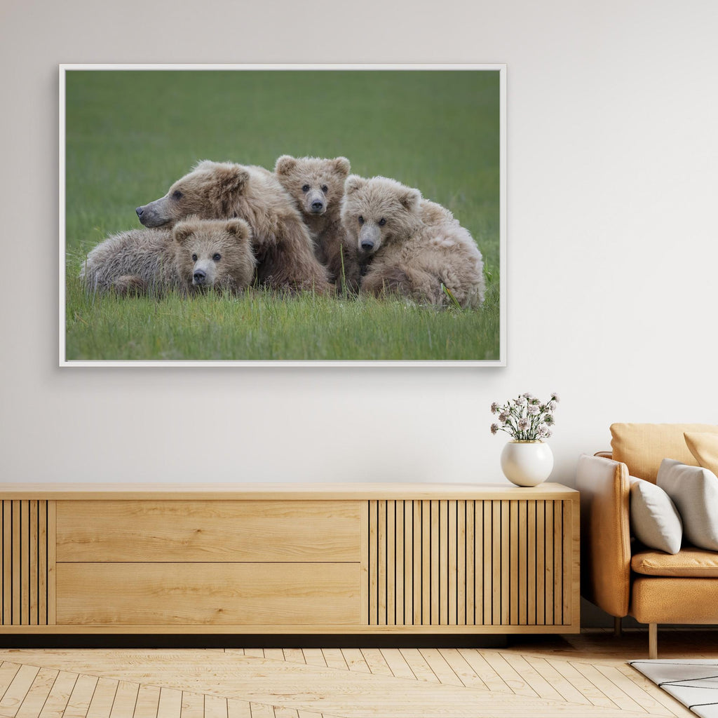 Bear Huddle by Renee Doyle Canvas