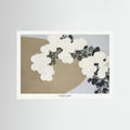 Blossom From Momoyogusa Fine Art Paper