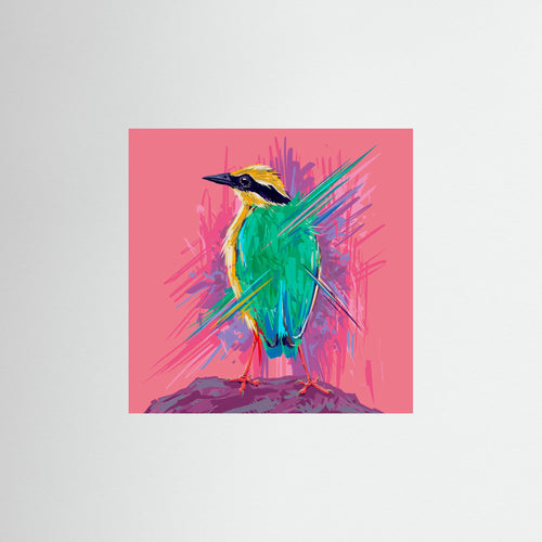 Bird Series   Indian Pitta by Rohan Dahotre Fine Art Paper