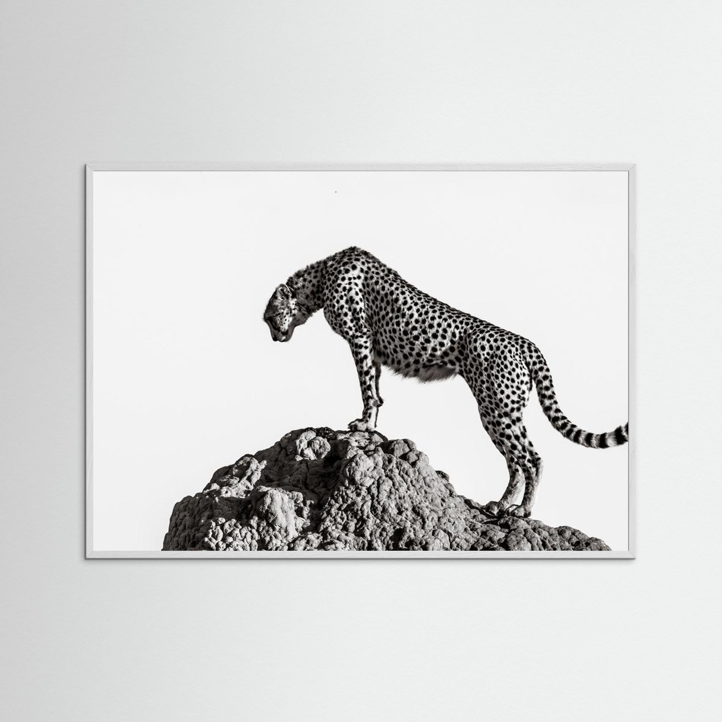 the hunter by Ali Fine Art Paper 